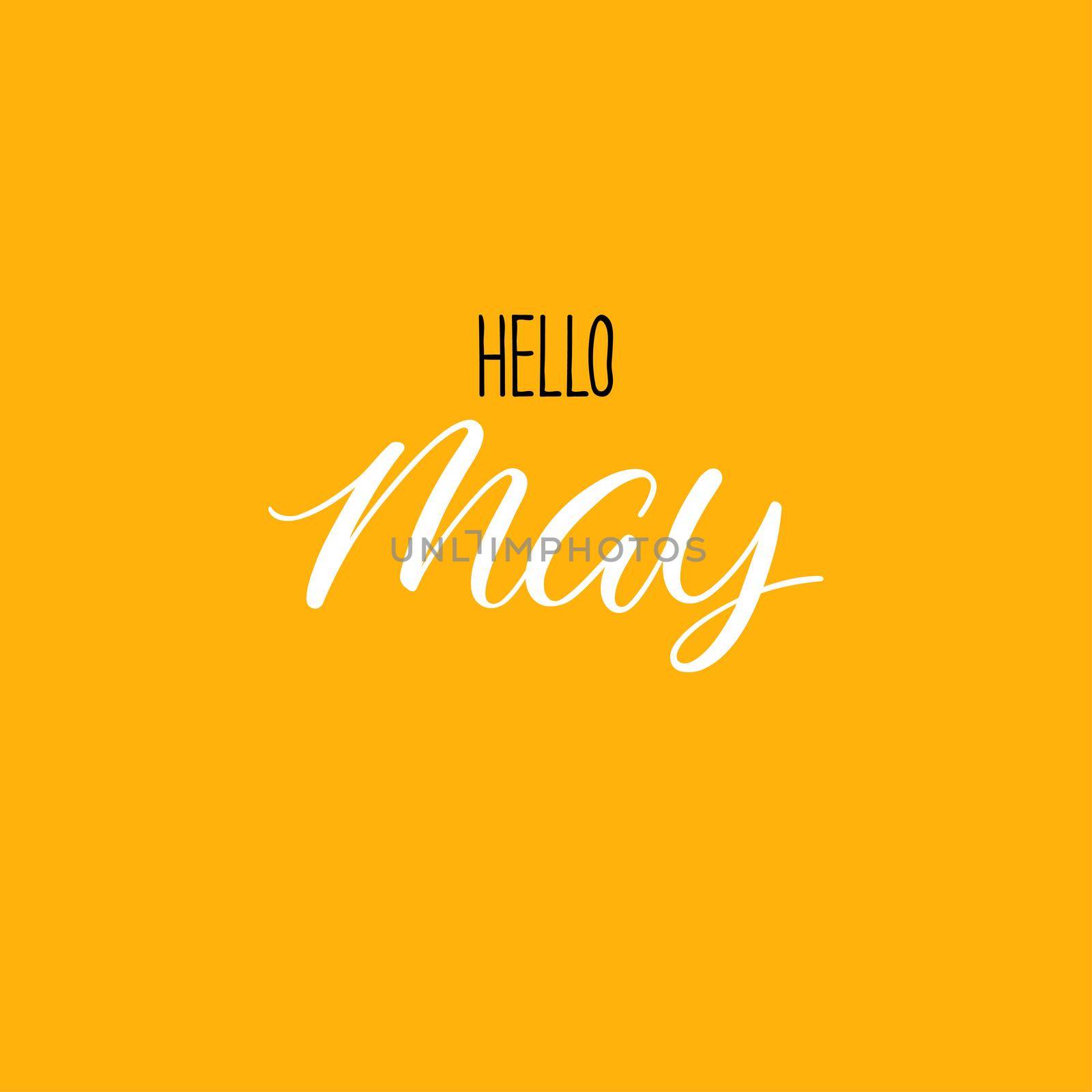 Hello may calligraphy. Spring greeting card. Hand-drawn illustration