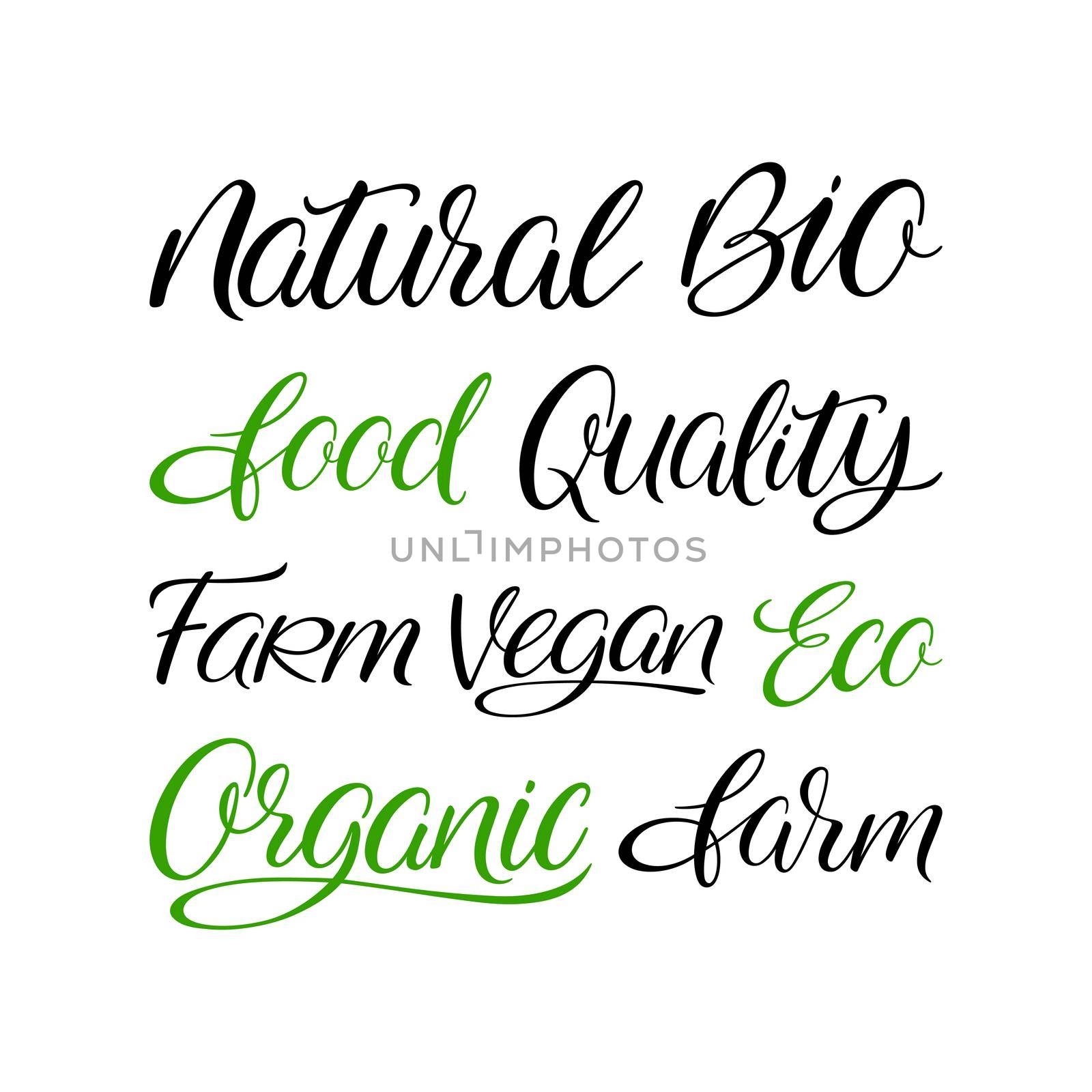 Set of organic food handlettering words. Vector illustration. Natural, bio, eco, vegan, organic