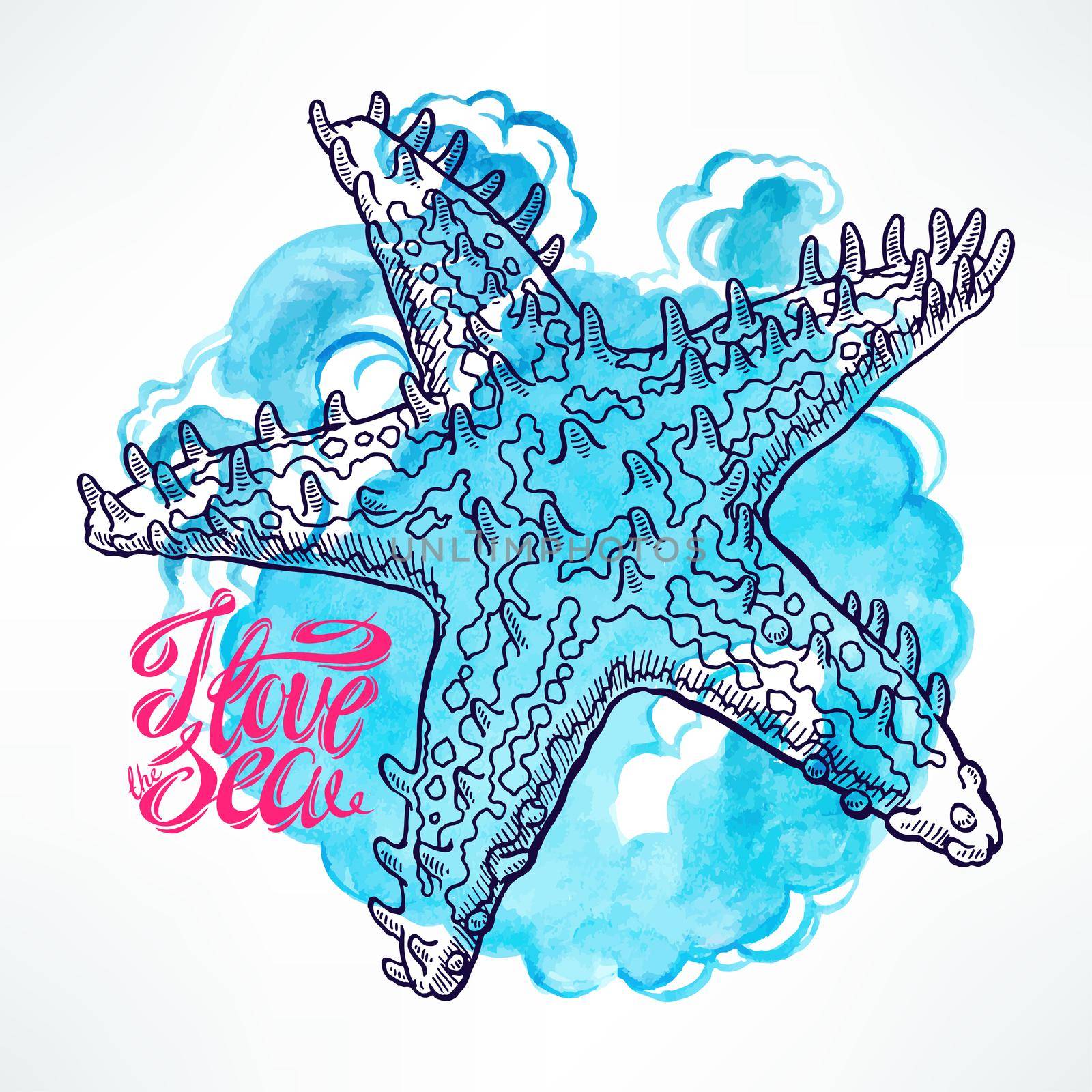 cute sketch starfish on a blue watercolor background. hand-drawn illustration