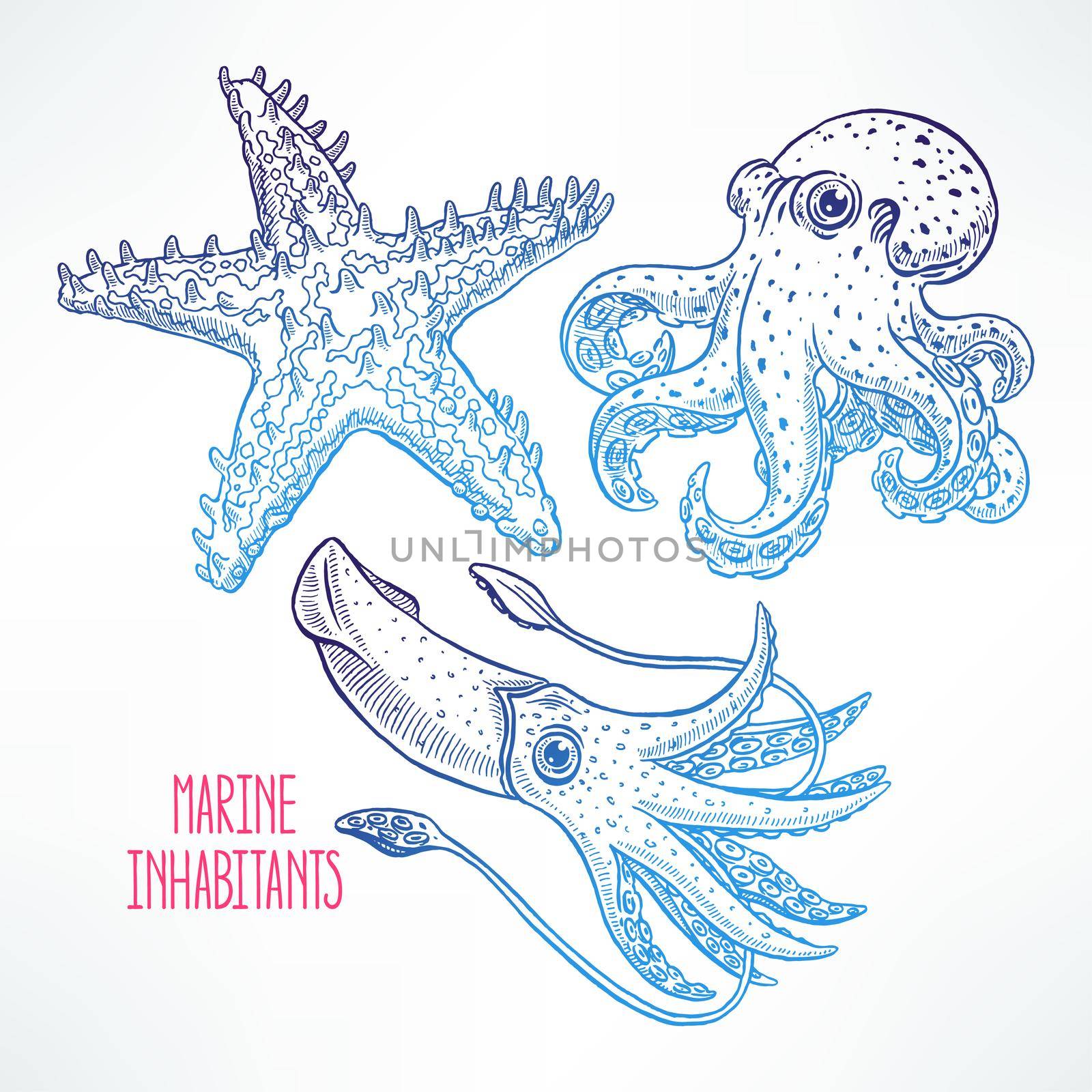 set of beautiful cute sea animals. hand-drawn illustration