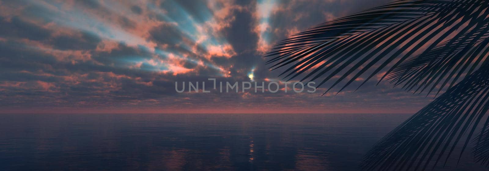 sunset sea palm landscape illustration by alex_nako