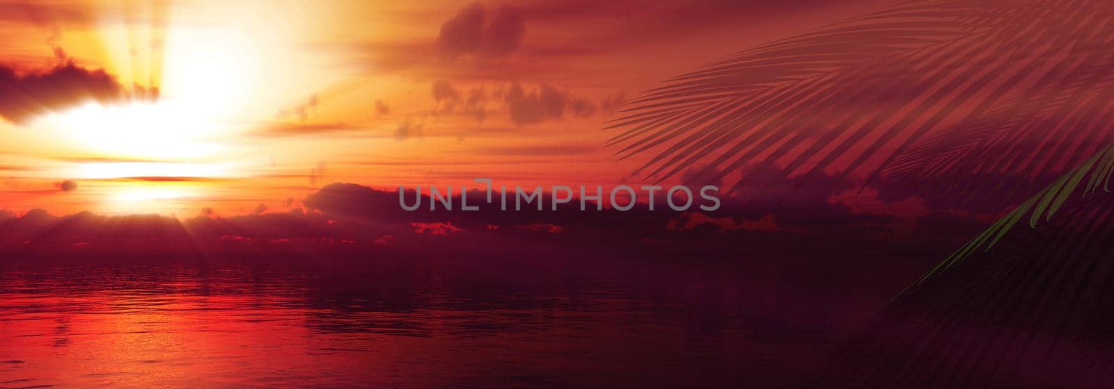 sunset sea palm landscape illustration by alex_nako