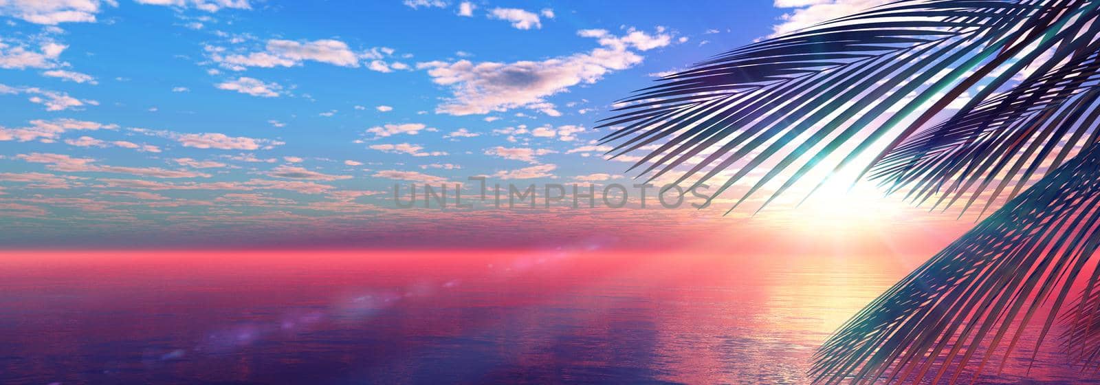 sunset sea palm landscape illustration, 3d render