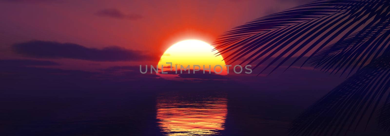 sunset sea palm landscape illustration by alex_nako