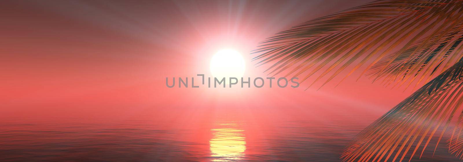 sunset sea palm landscape illustration by alex_nako