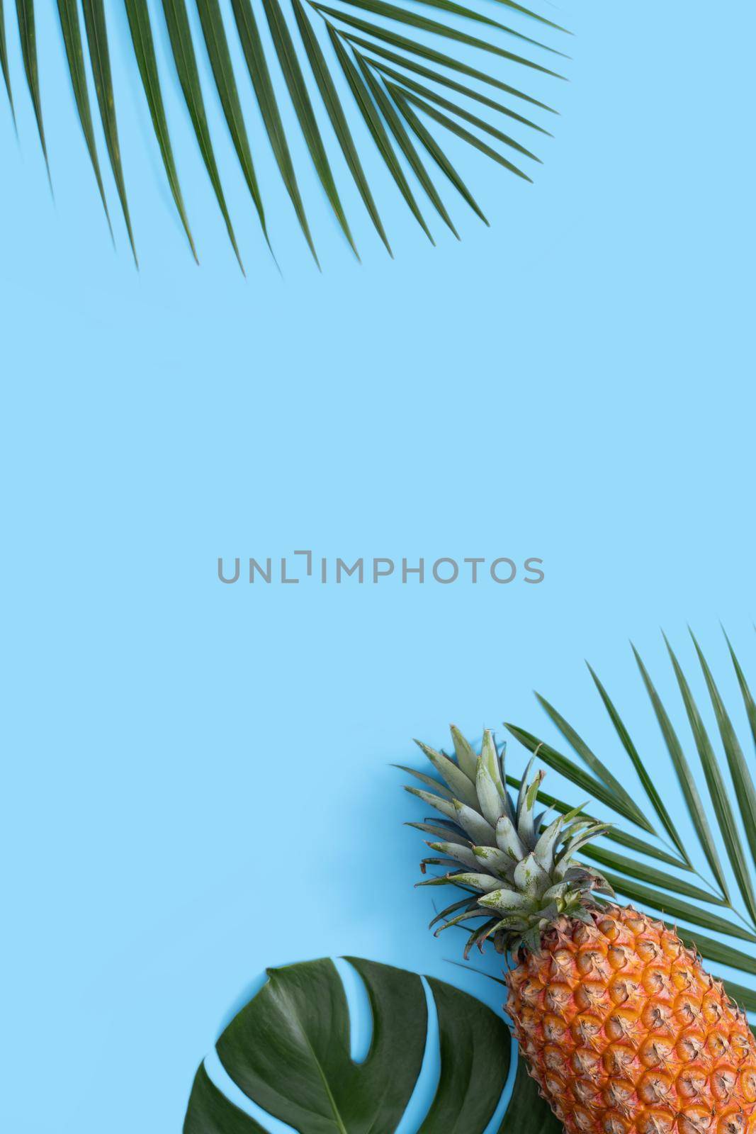 Top view of fresh pineapple with tropical palm and monstera leaves on blue table background.