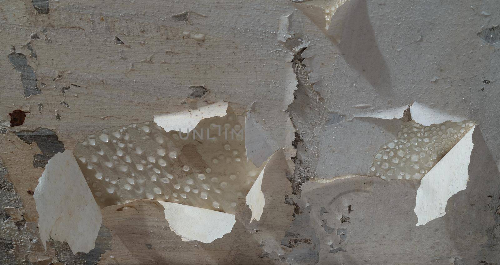 condensed water drops on the basement ceiling with peeled off paint - close-up with selective focus.