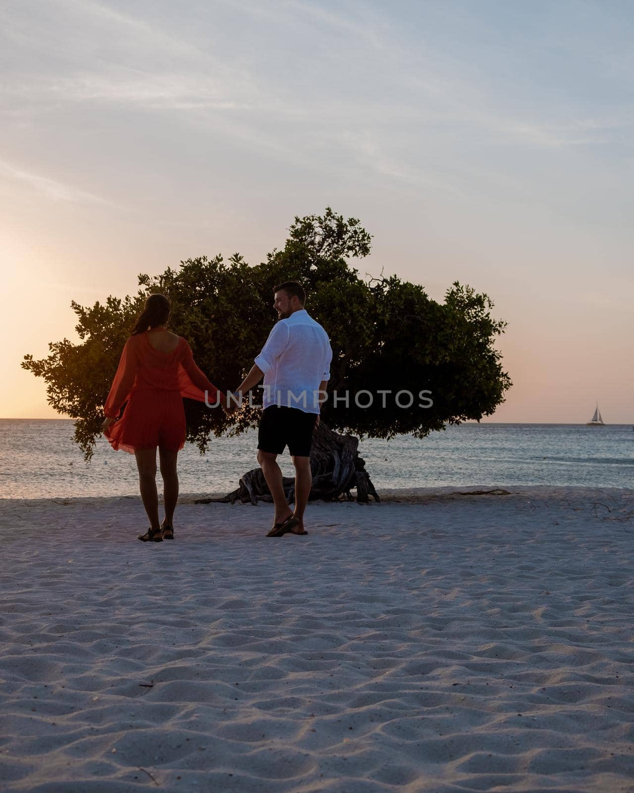 Sunset at Eagle Beach Aruba, Divi Dive Trees on the shoreline of Eagle Beach in Aruba, couple man and woman watchin sunset on the beach of Aruba