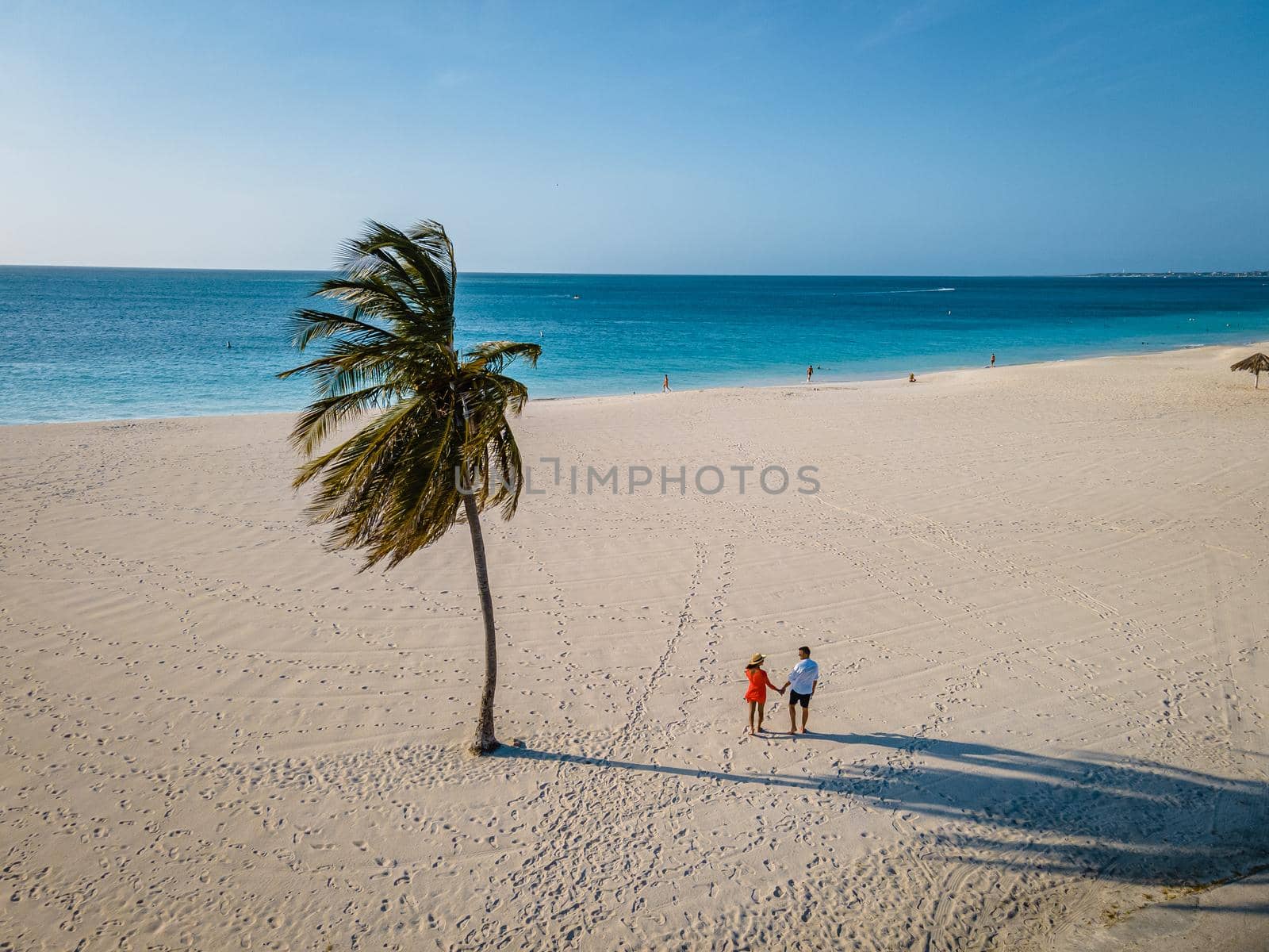 Palm Trees on the shoreline of Eagle Beach in Aruba by fokkebok