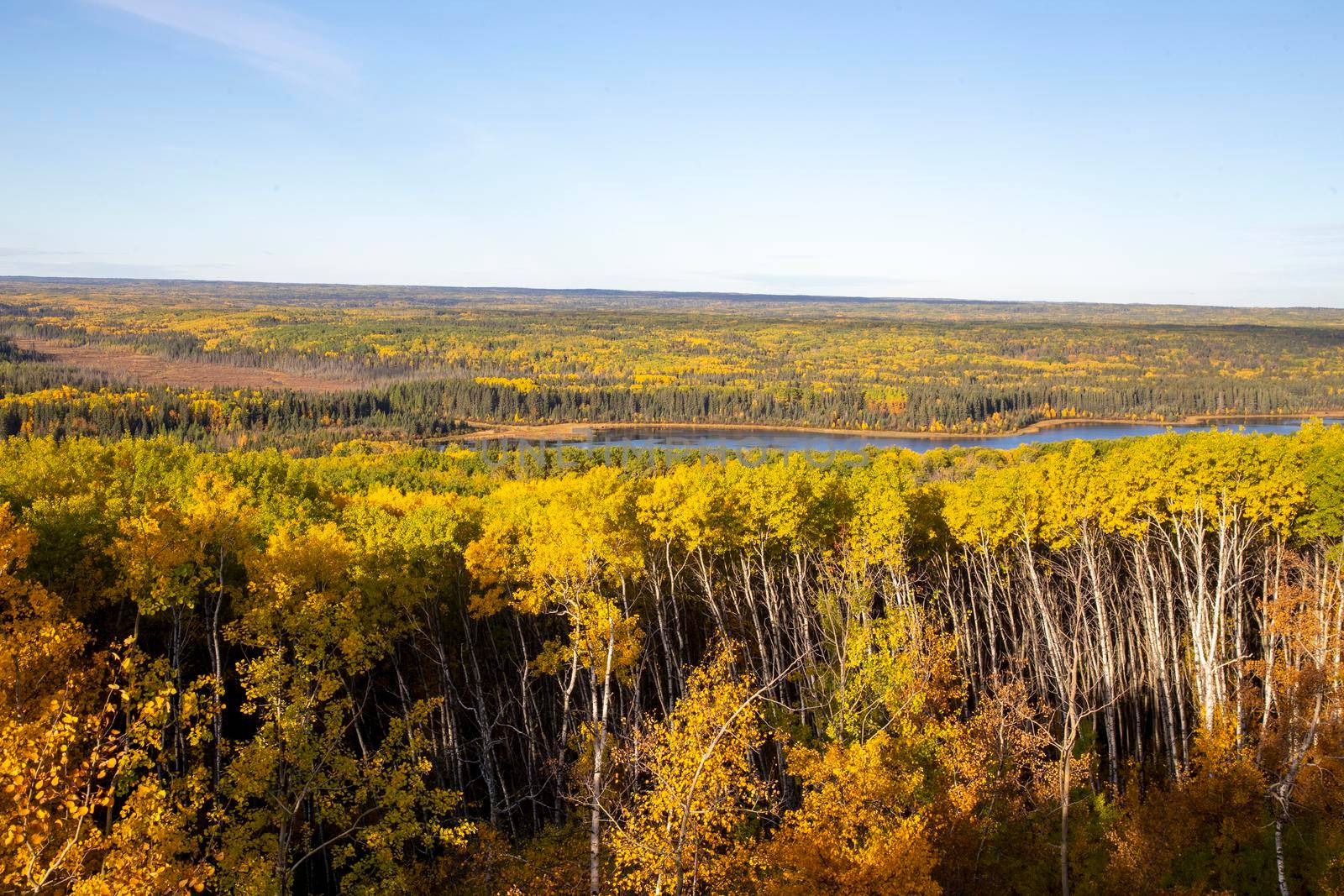Panorama Fall Colors Prince Albert Natoinal Park