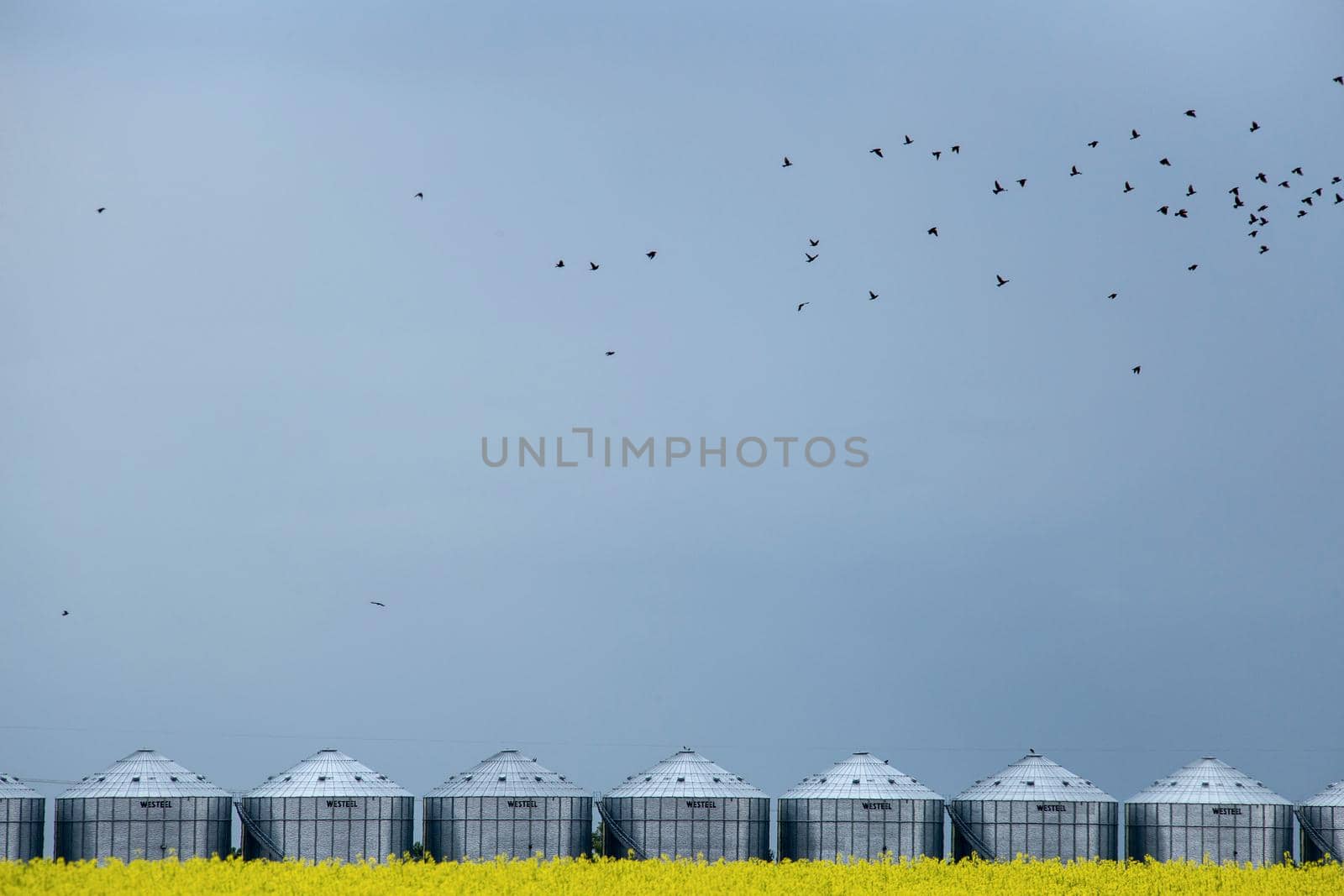Ominous Storm Clouds Prairie Summer Rural Scene