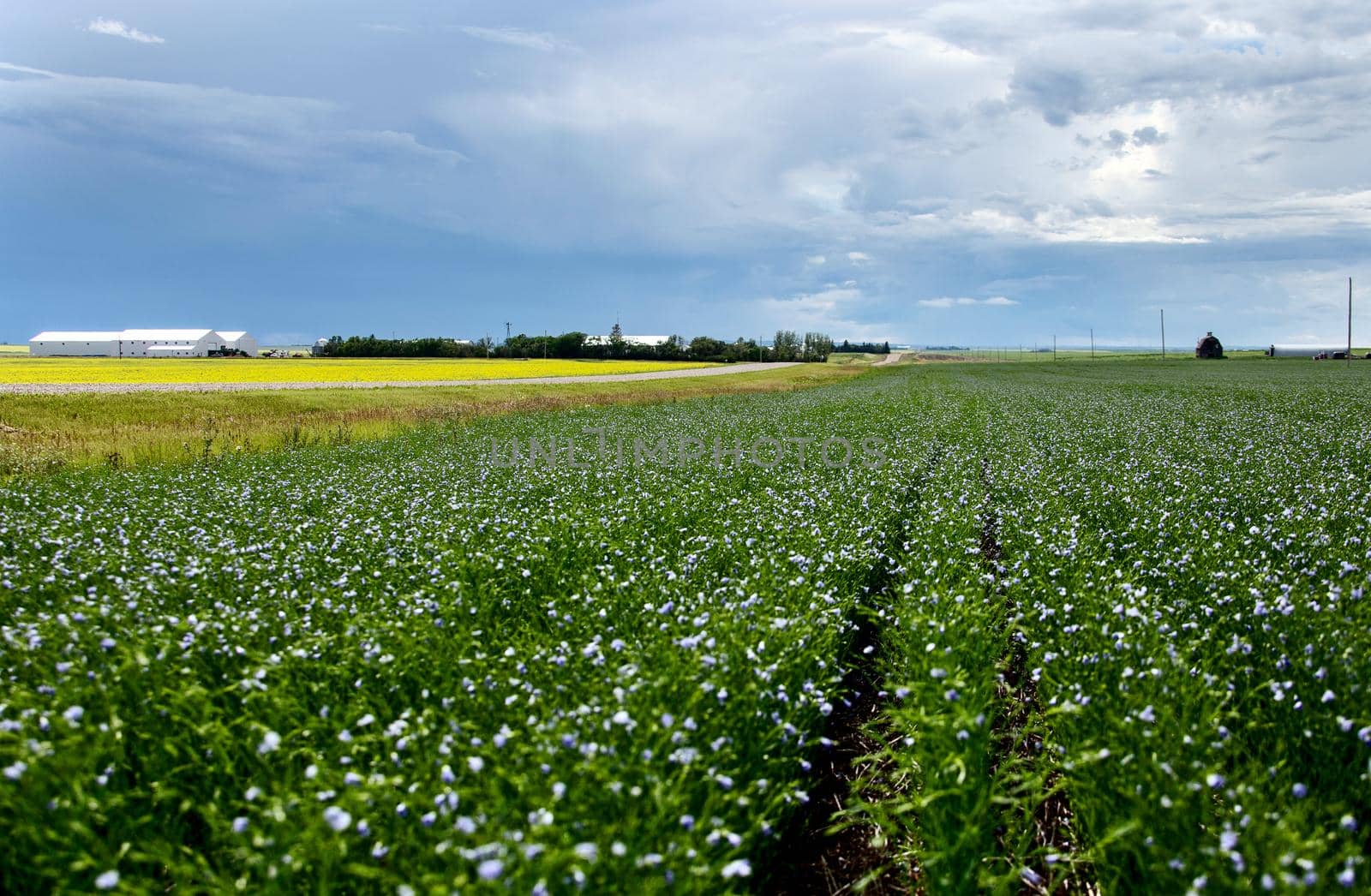 Ominous Storm Clouds Prairie Summer Rural Scene
