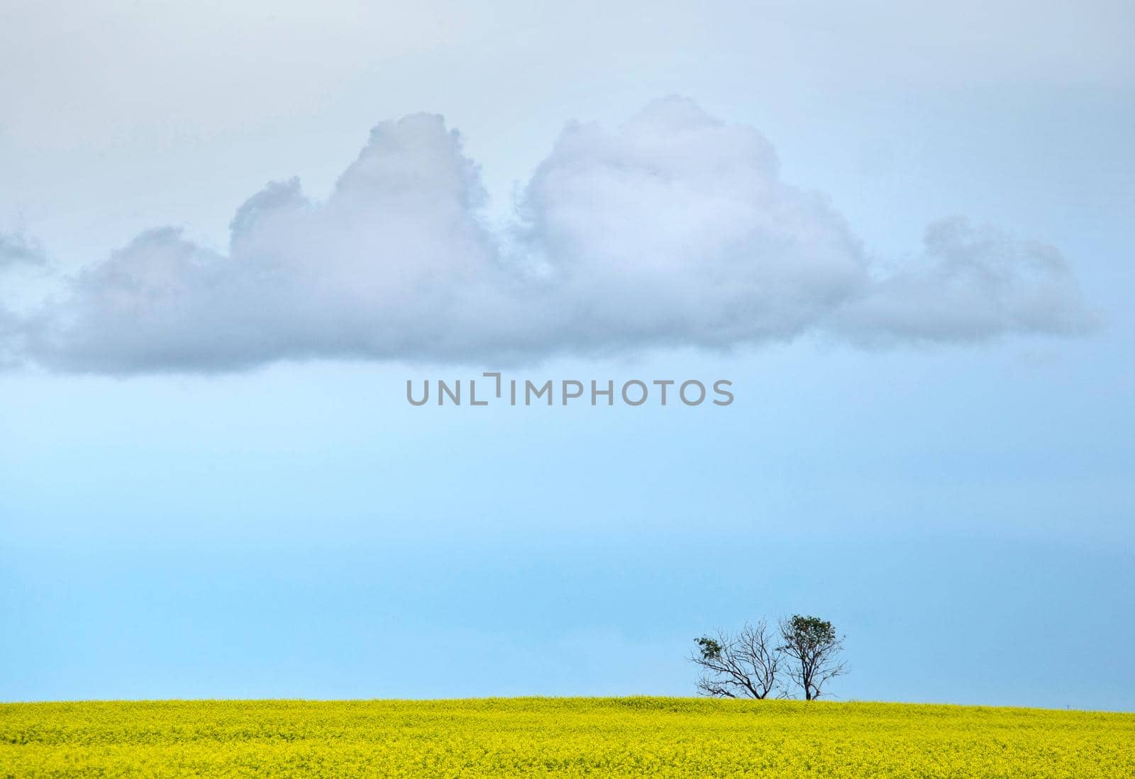 Ominous Storm Clouds Prairie Summer Rural Scene