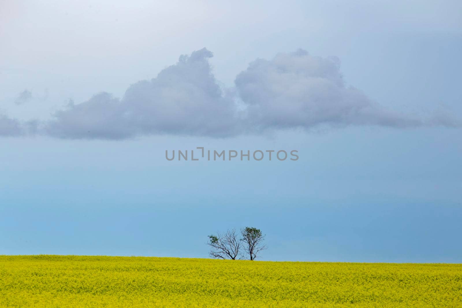 Ominous Storm Clouds Prairie Summer Rural Scene