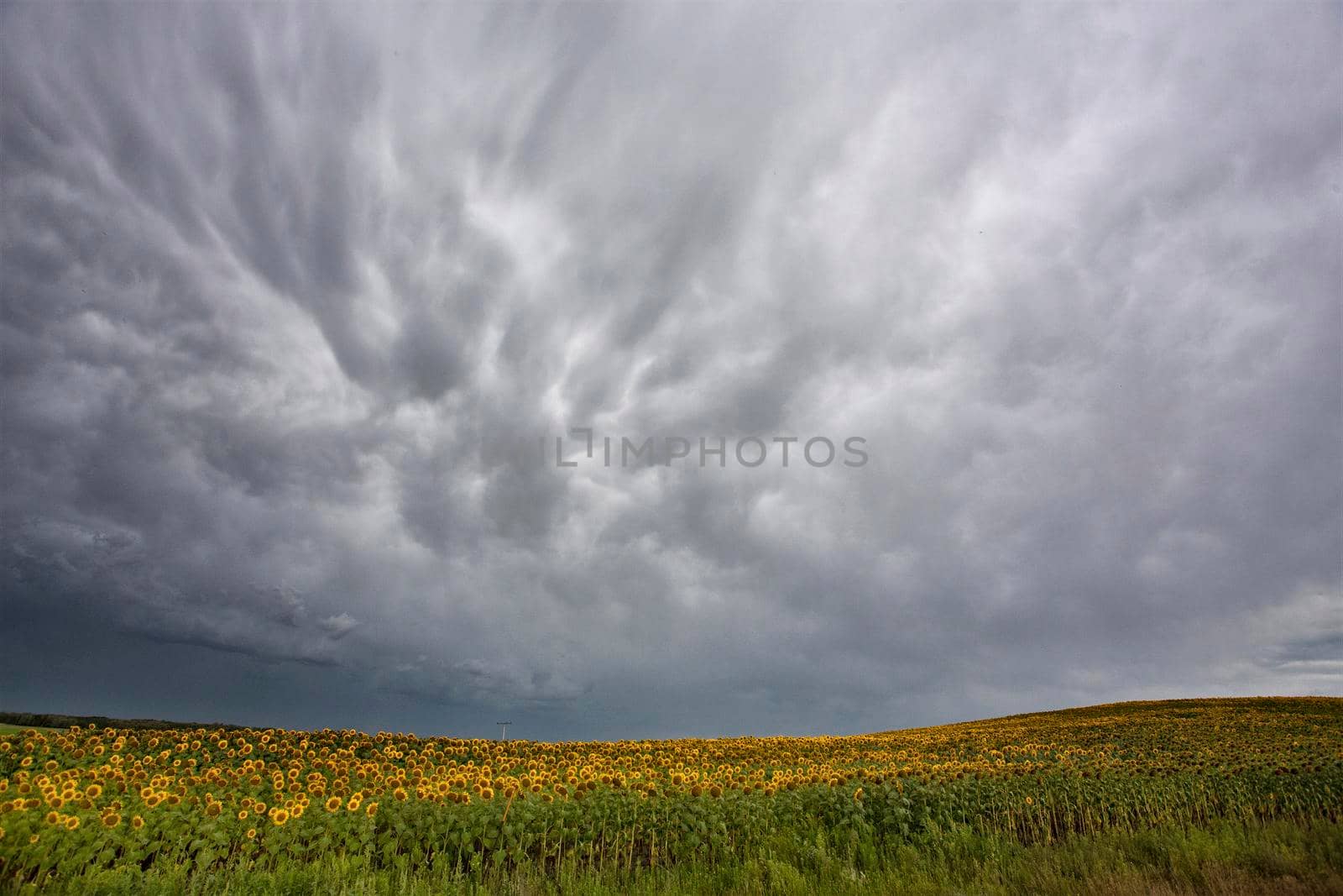 Ominous Storm Clouds Prairie Summer Rural Scene