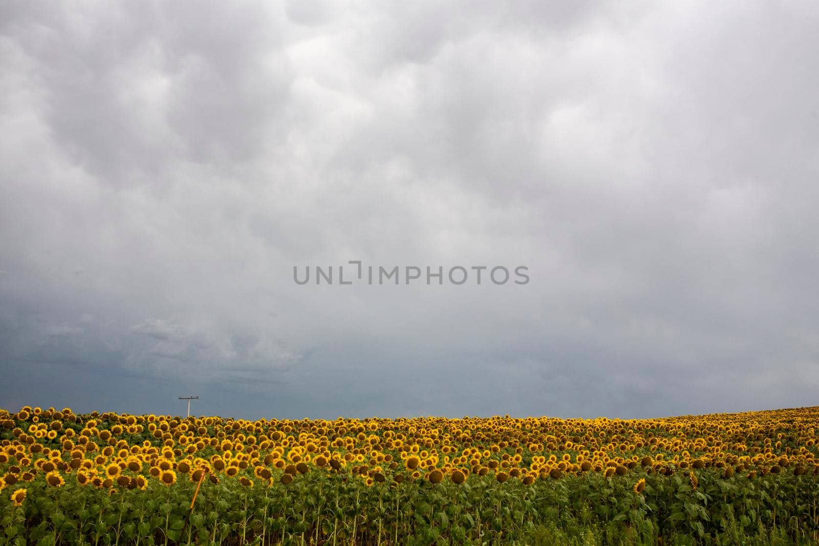 Ominous Storm Clouds Prairie Summer Rural Scene