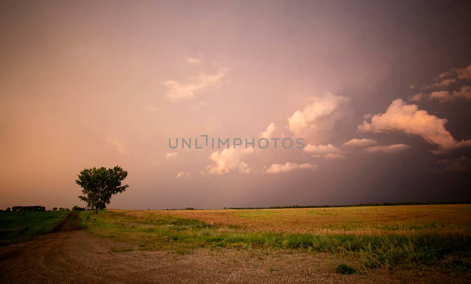 Ominous Storm Clouds Prairie Summer Rural Susnet