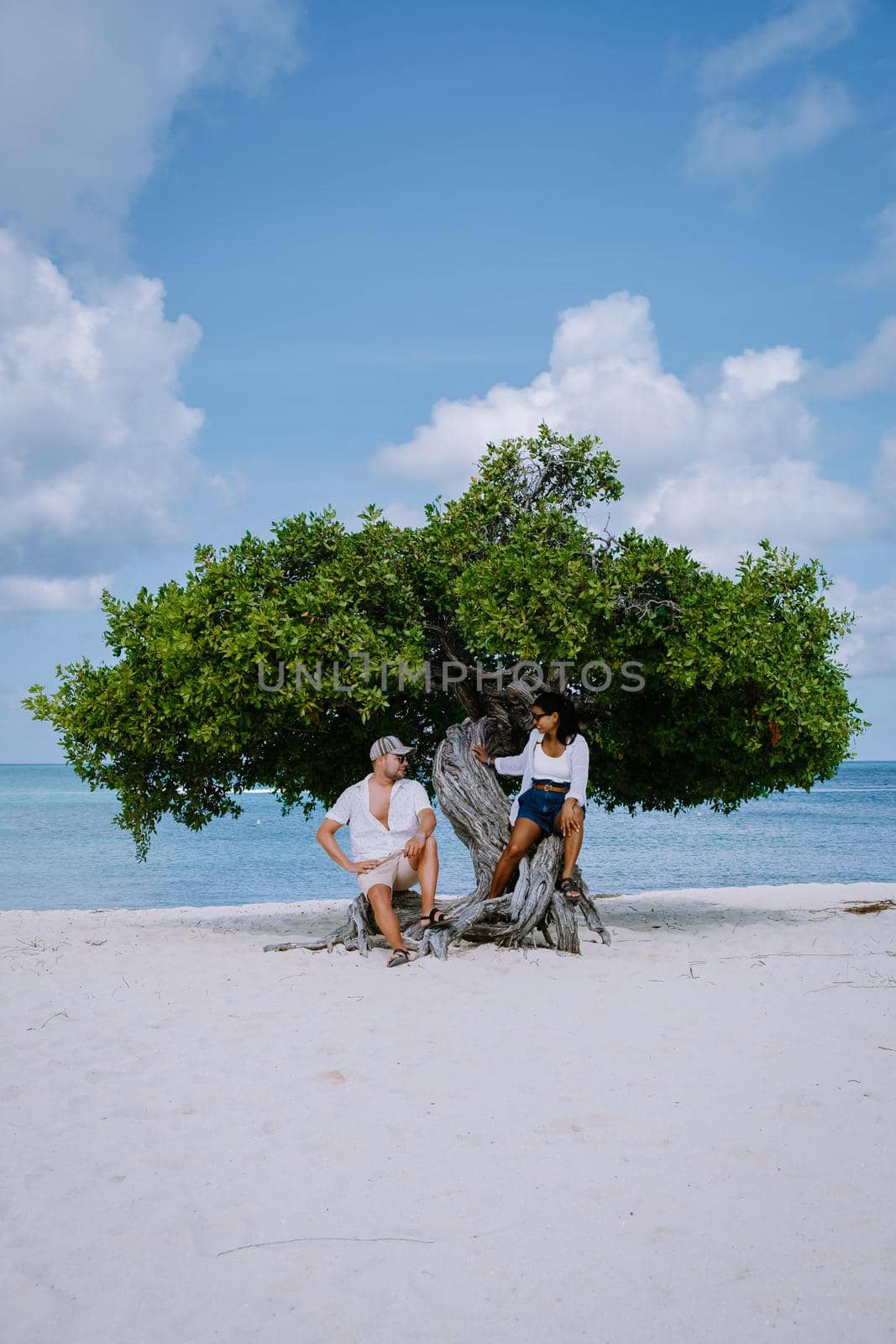 Divi Dive Trees on the shoreline of Eagle Beach in Aruba by fokkebok