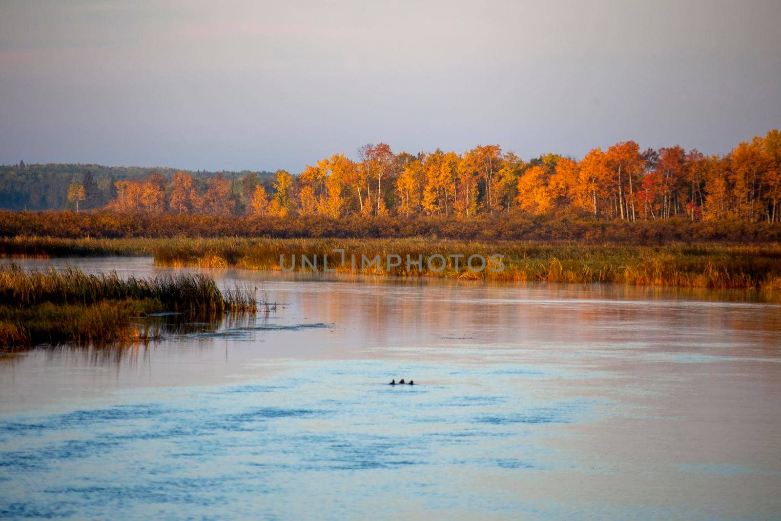 Autumn Northern Saskatchewan wilderness prestine rural scenic