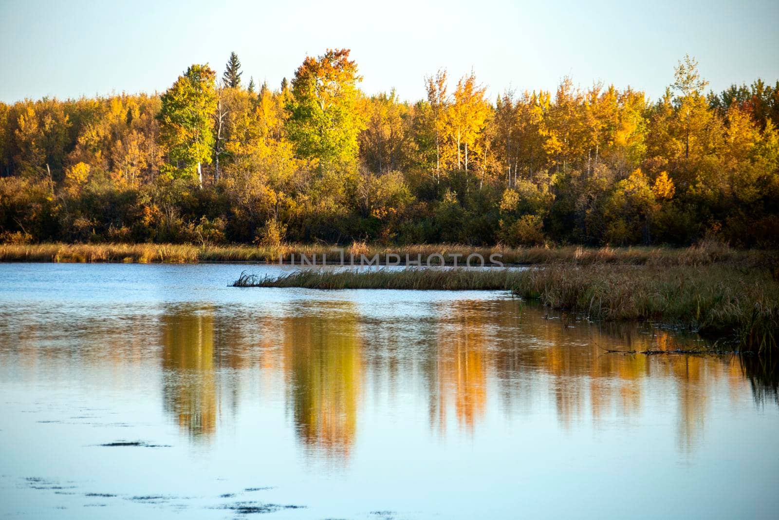 Autumn Northern Saskatchewan wilderness prestine rural scenic