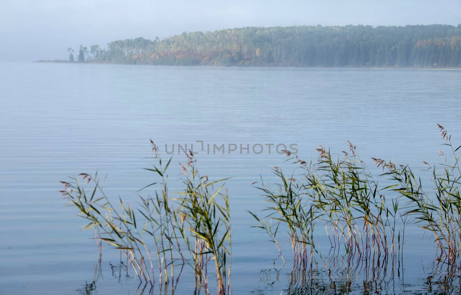 Sunrise Northern Lake in Saskatchewan Canada scenic