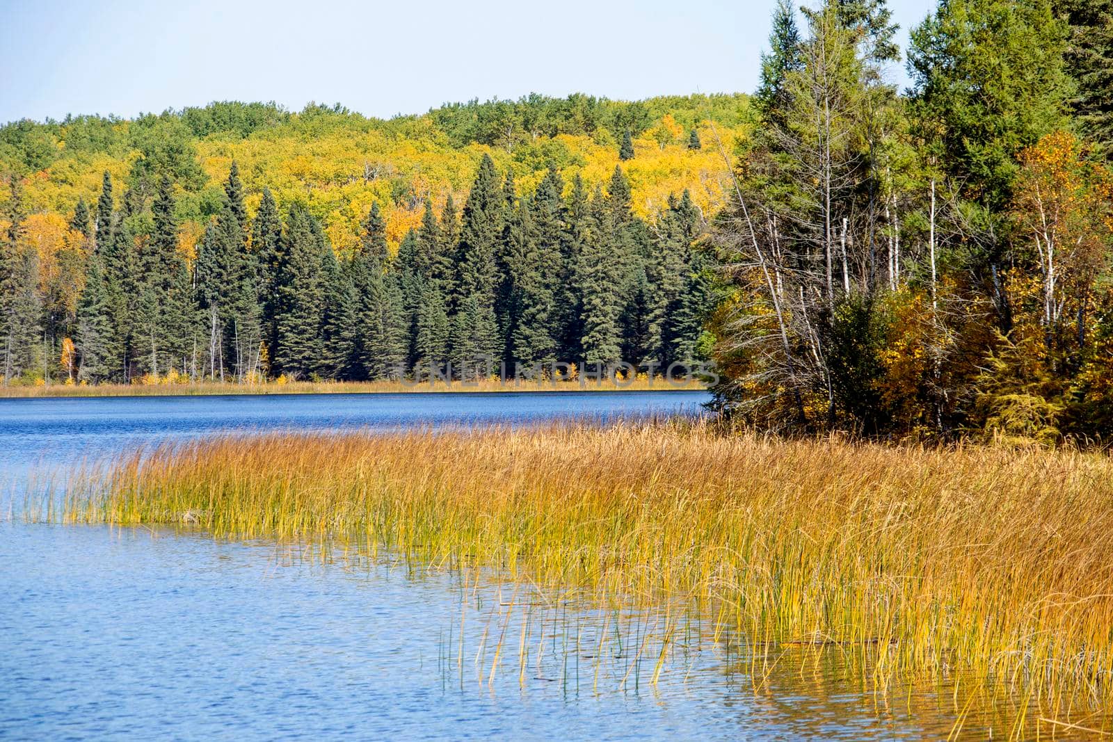 Autumn Northern Saskatchewan wilderness prestine rural scenic