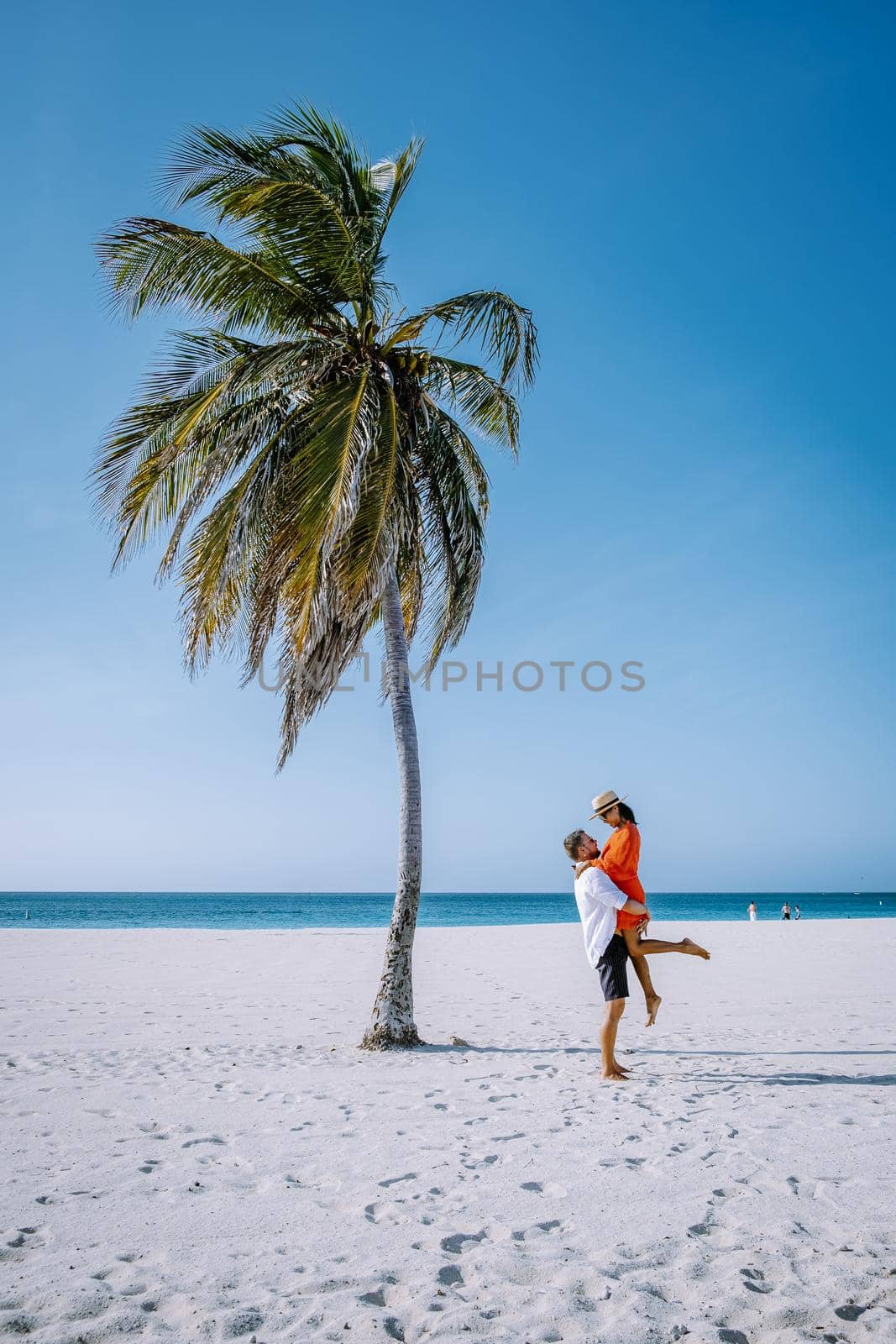 Palm Trees on the shoreline of Eagle Beach in Aruba by fokkebok