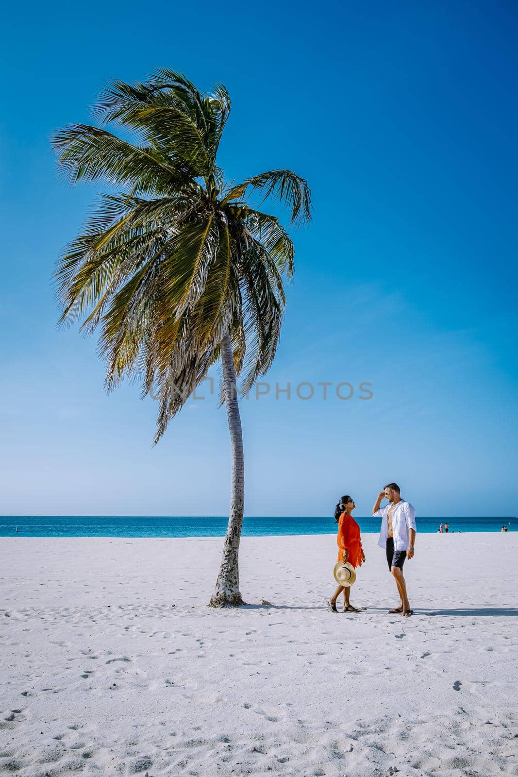 Palm Trees on the shoreline of Eagle Beach in Aruba by fokkebok