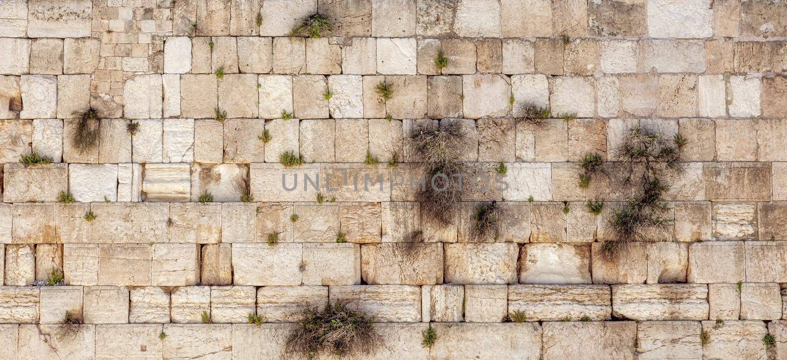 Western Wall in the Old City by Wajan