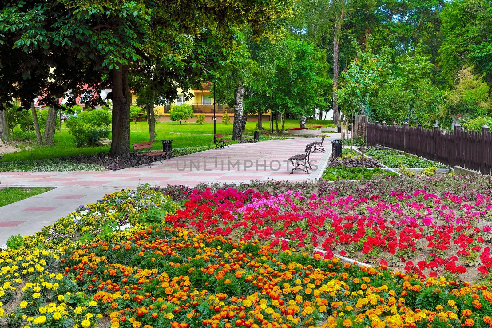 A colorful summer park in the city