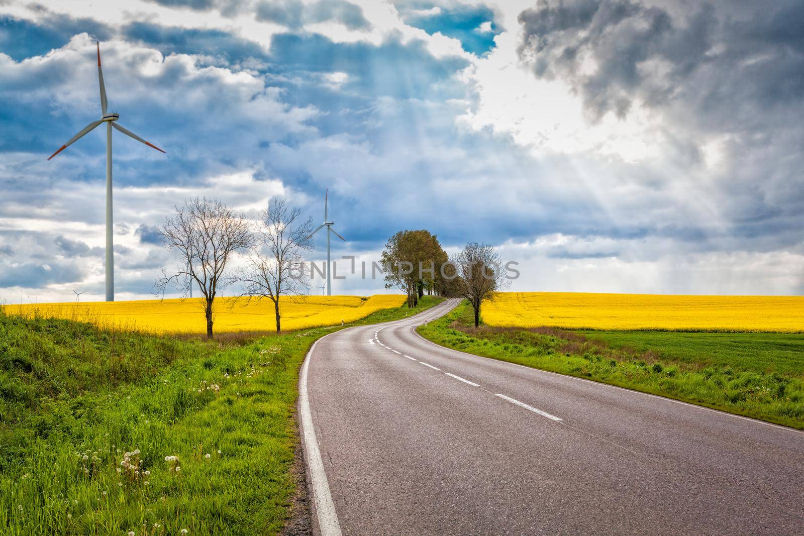 Country road through hilly landscape and colorful farmland