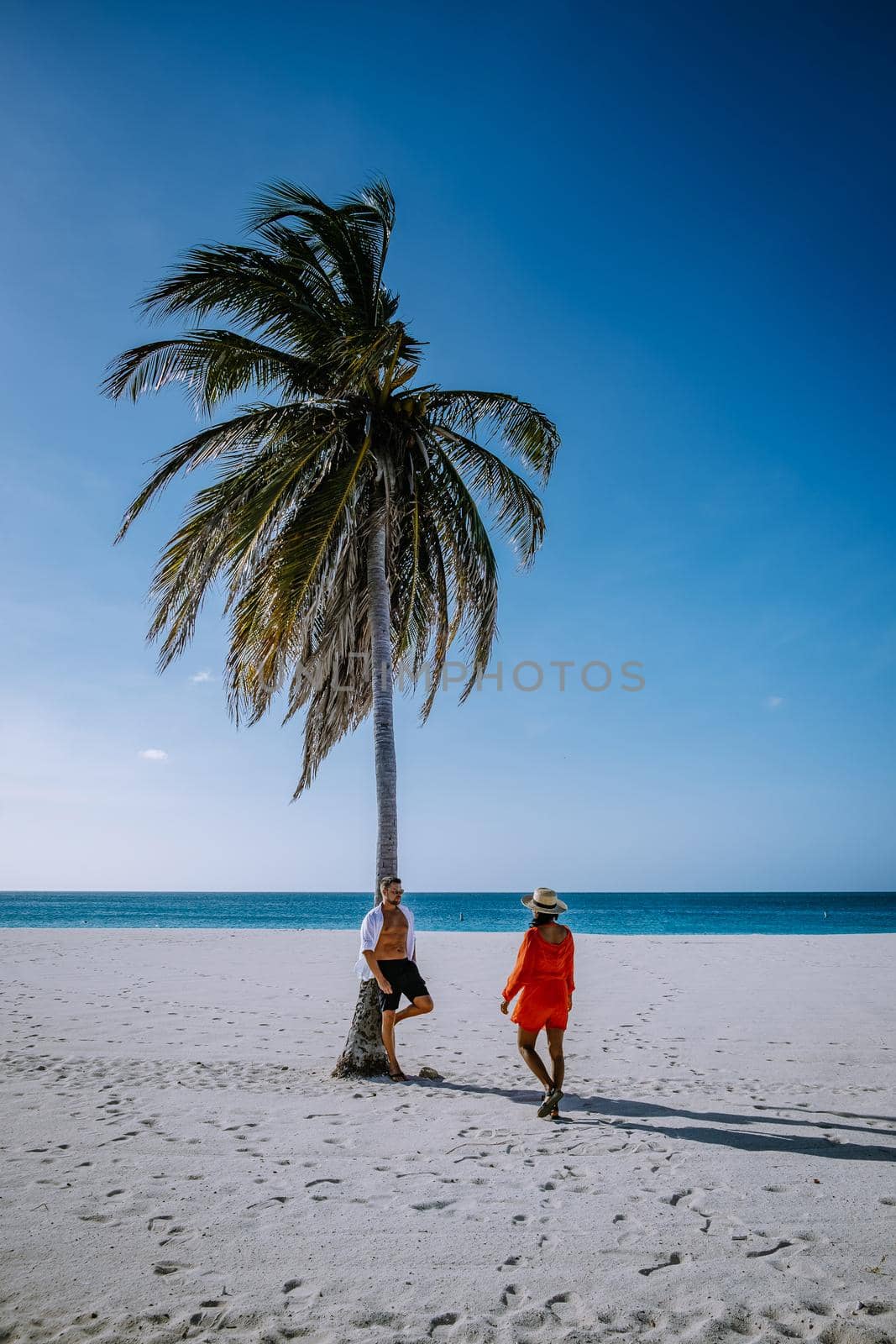 Palm Trees on the shoreline of Eagle Beach in Aruba by fokkebok