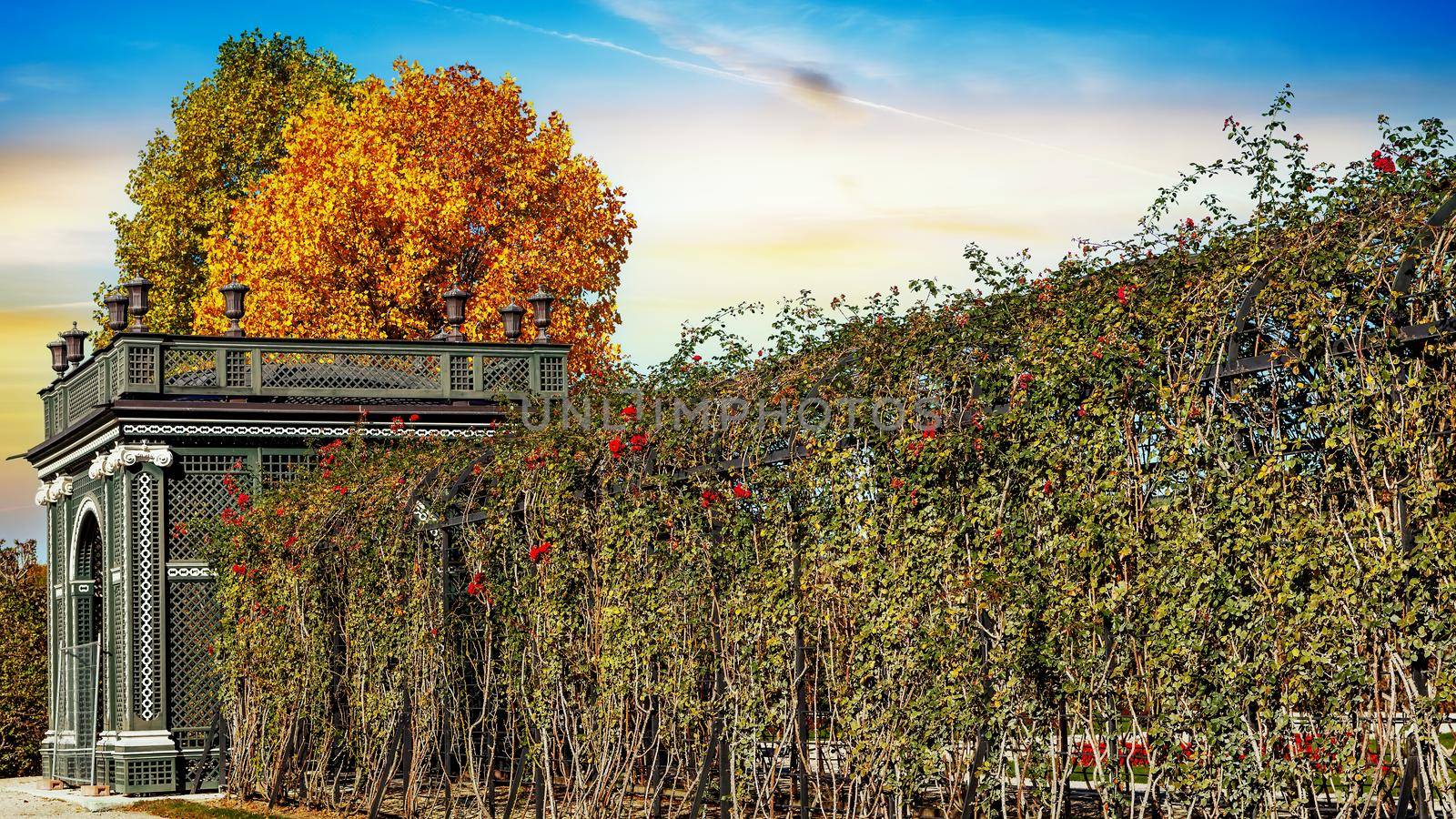 Park alley with flowers at sunset