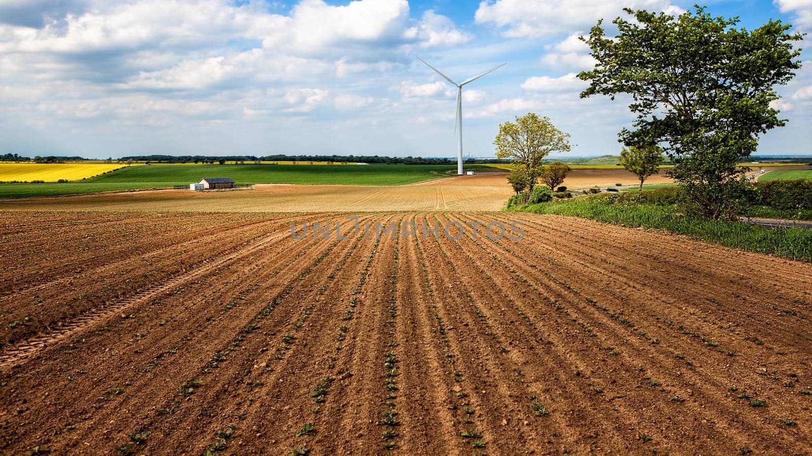 Wind turbine in a farmland landscape