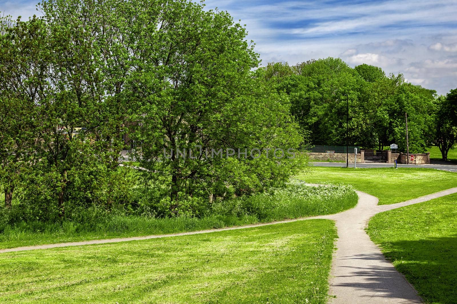 Green park in the spring UK