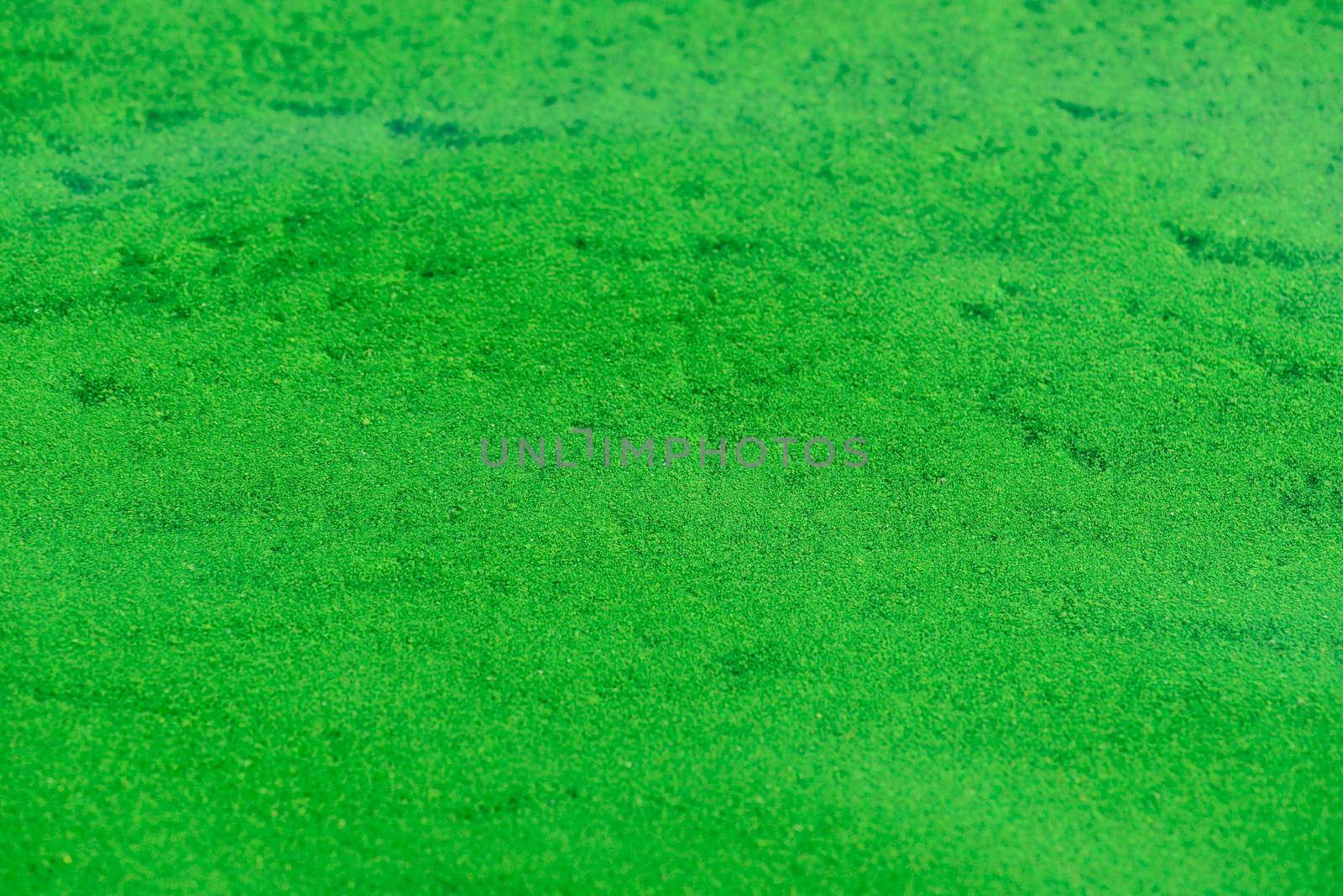 Background of the smooth ripples on the water surface with green algae