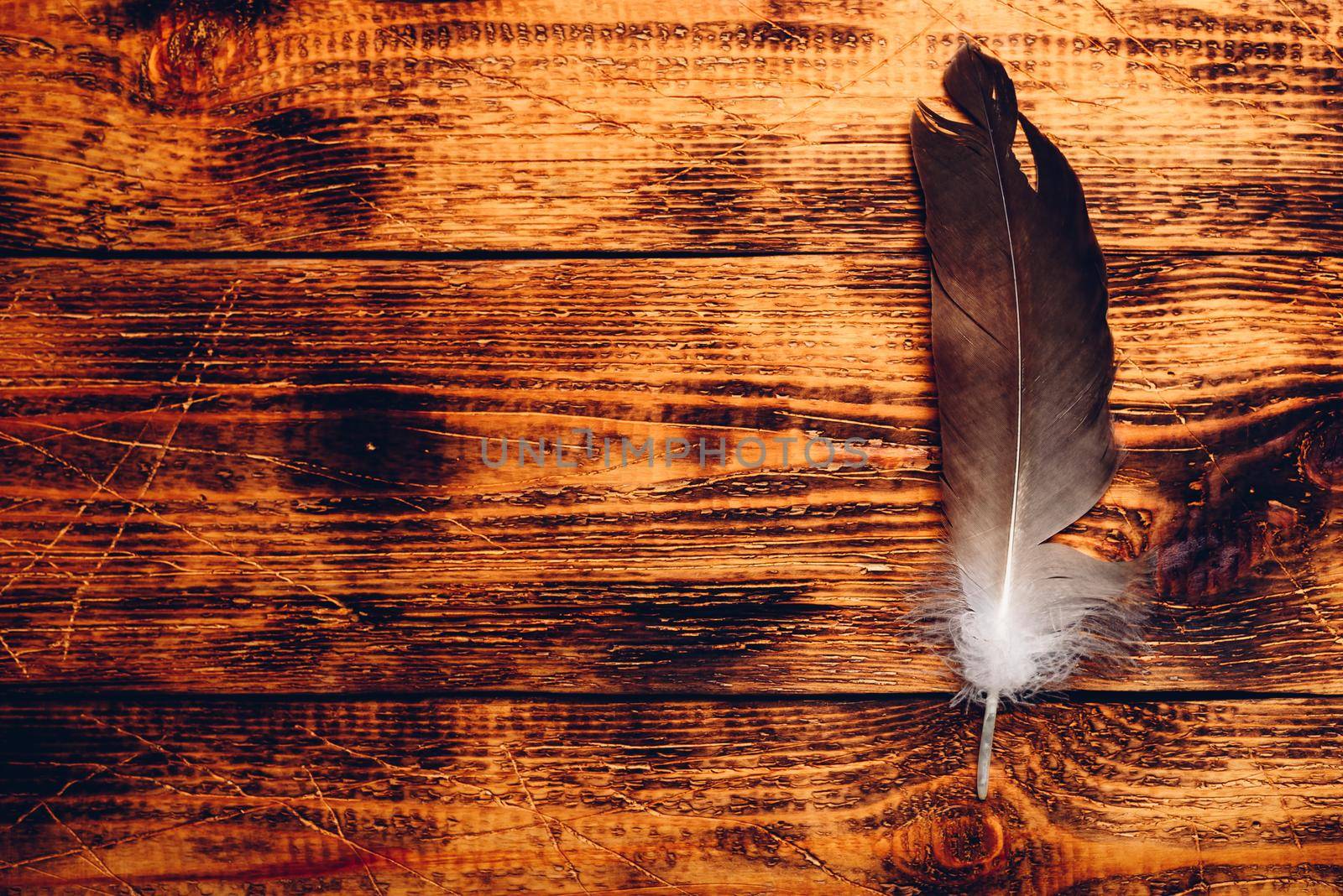 Hawk feather over old wooden table. Copy space