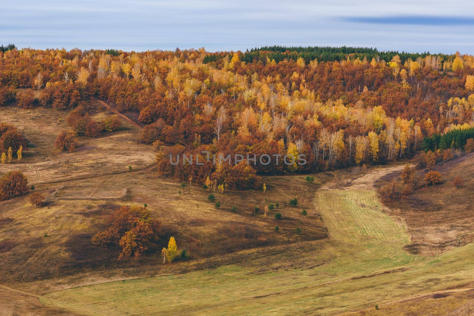 Autumnal forest with fields at overcast day