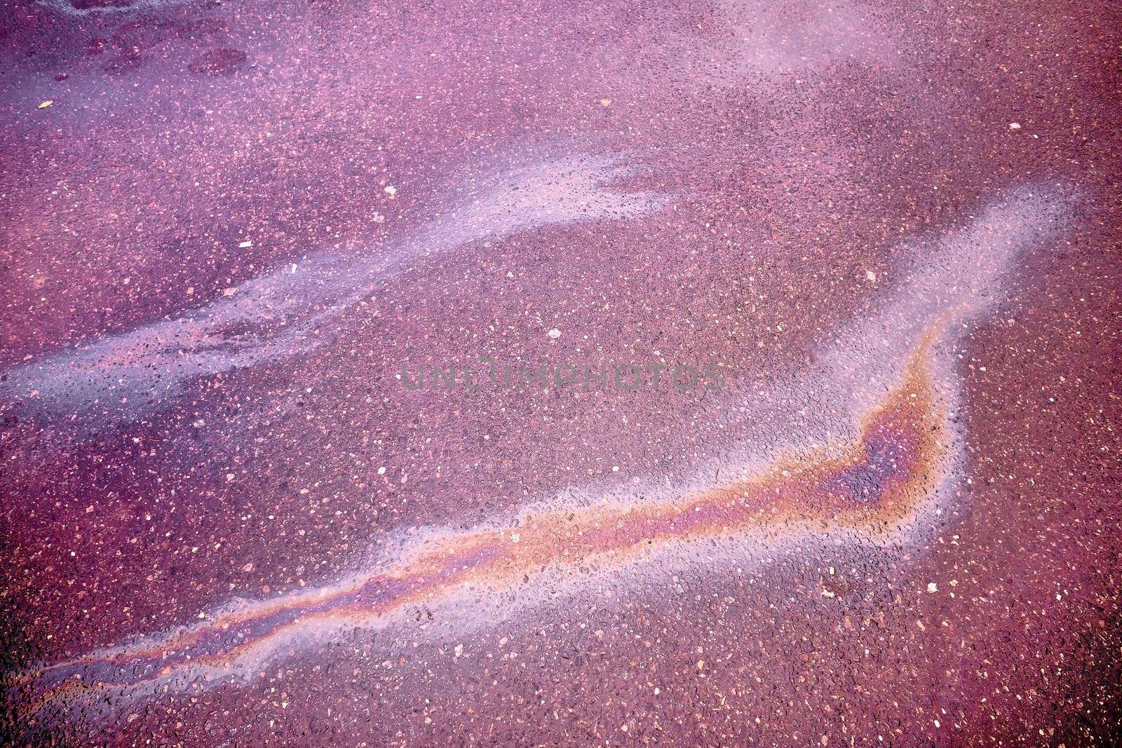 Oil slick looks like a bird on the asphalt road background. Oil stain on Asphalt, color Gasoline fuel spots on Asphalt Road as Texture or Background