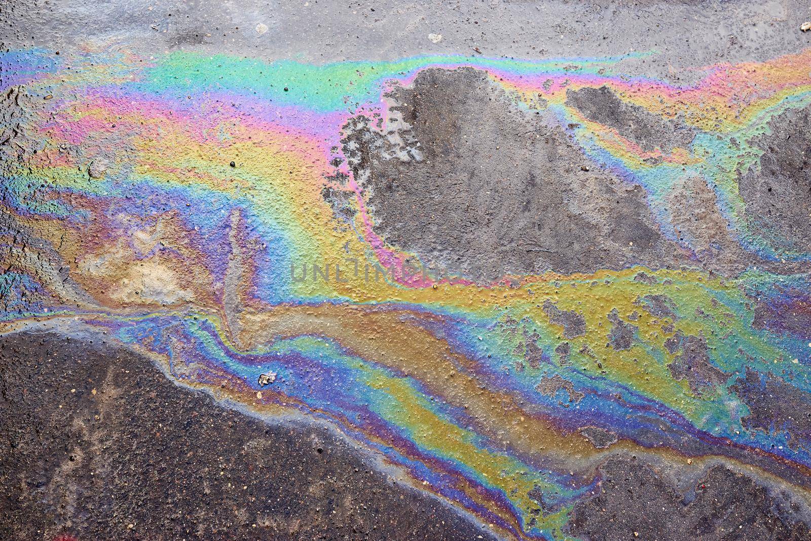 A rainbow spot of gasoline or oil on the asphalt.