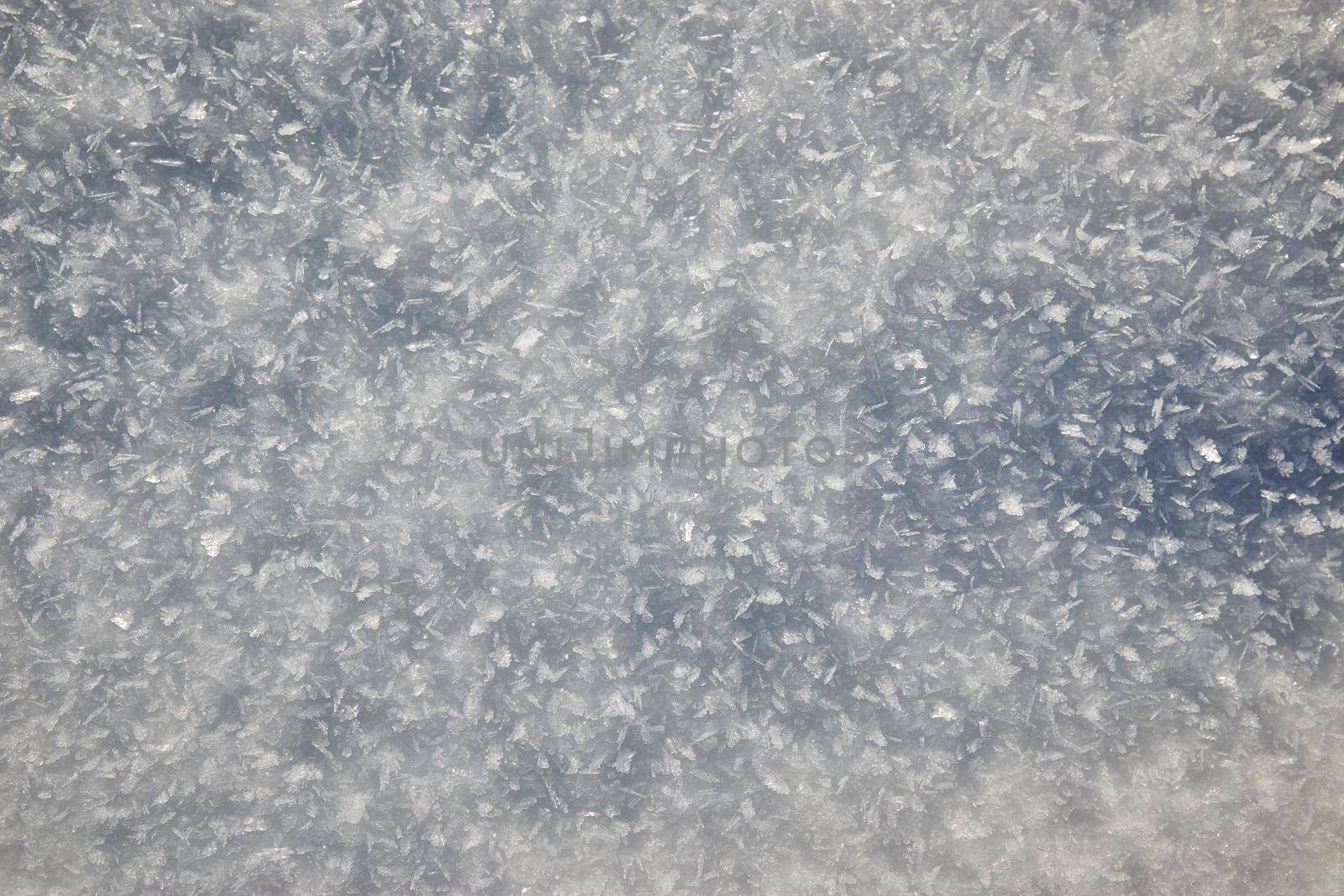 Snow texture background, natural white snow powder in winter on a bright sunny day