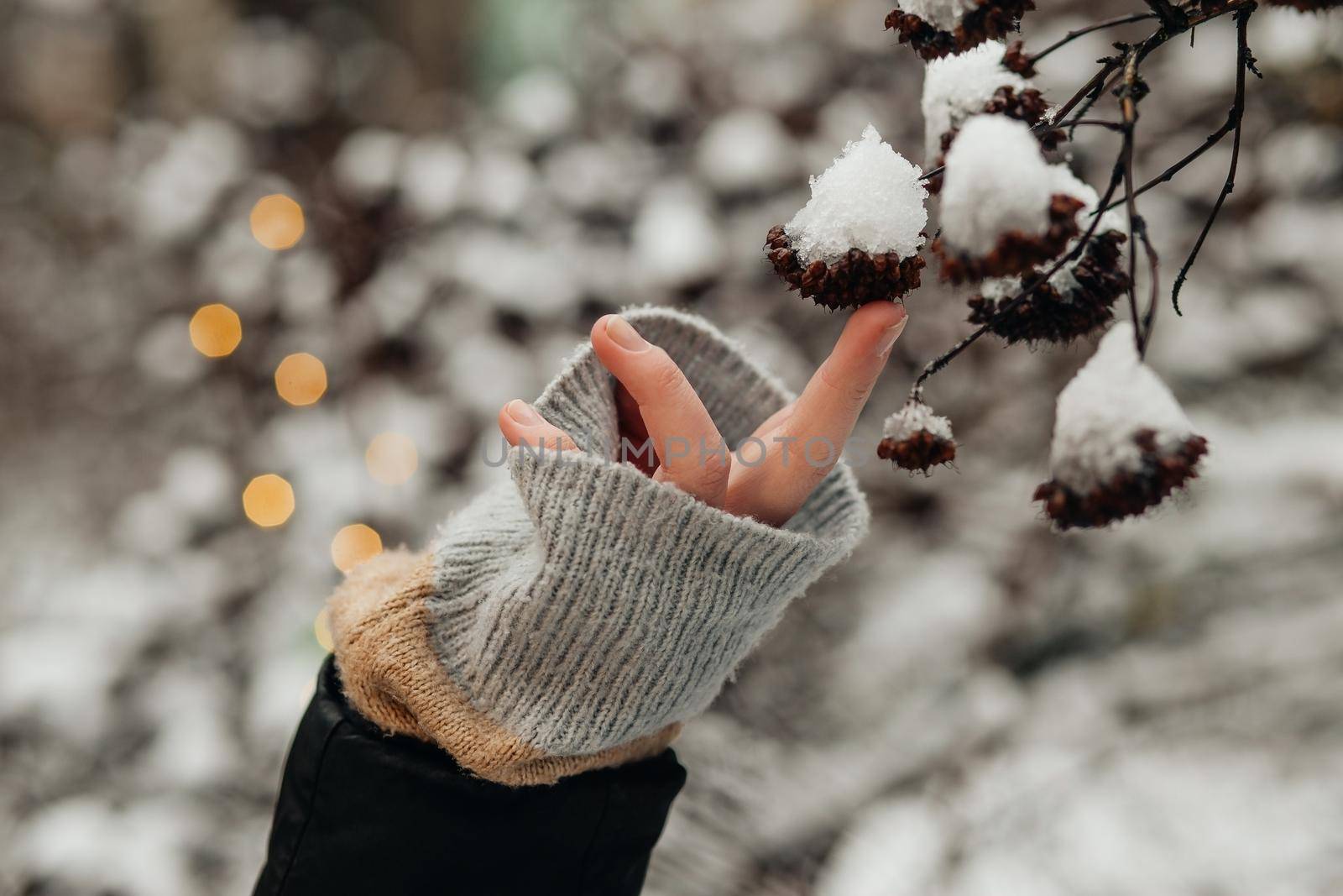 hand touches a snowy branch the snow melts