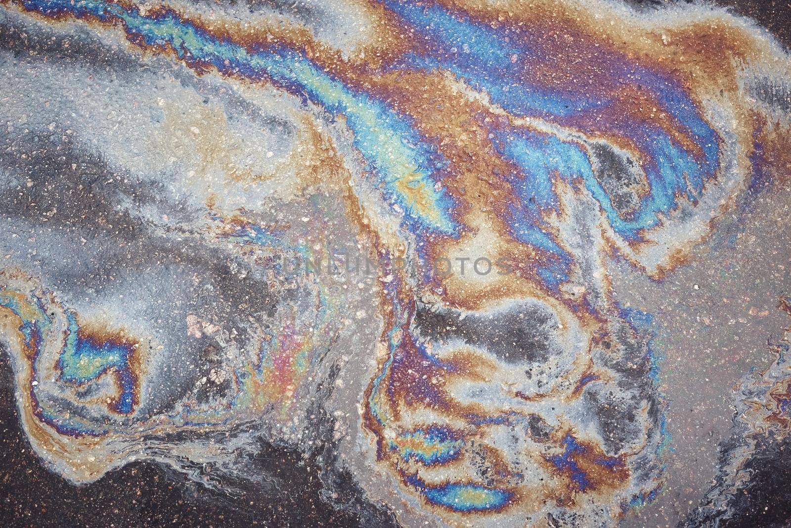 Oil slick looks like a bird on the asphalt road background. Oil stain on Asphalt, color Gasoline fuel spots on Asphalt Road as Texture or Background