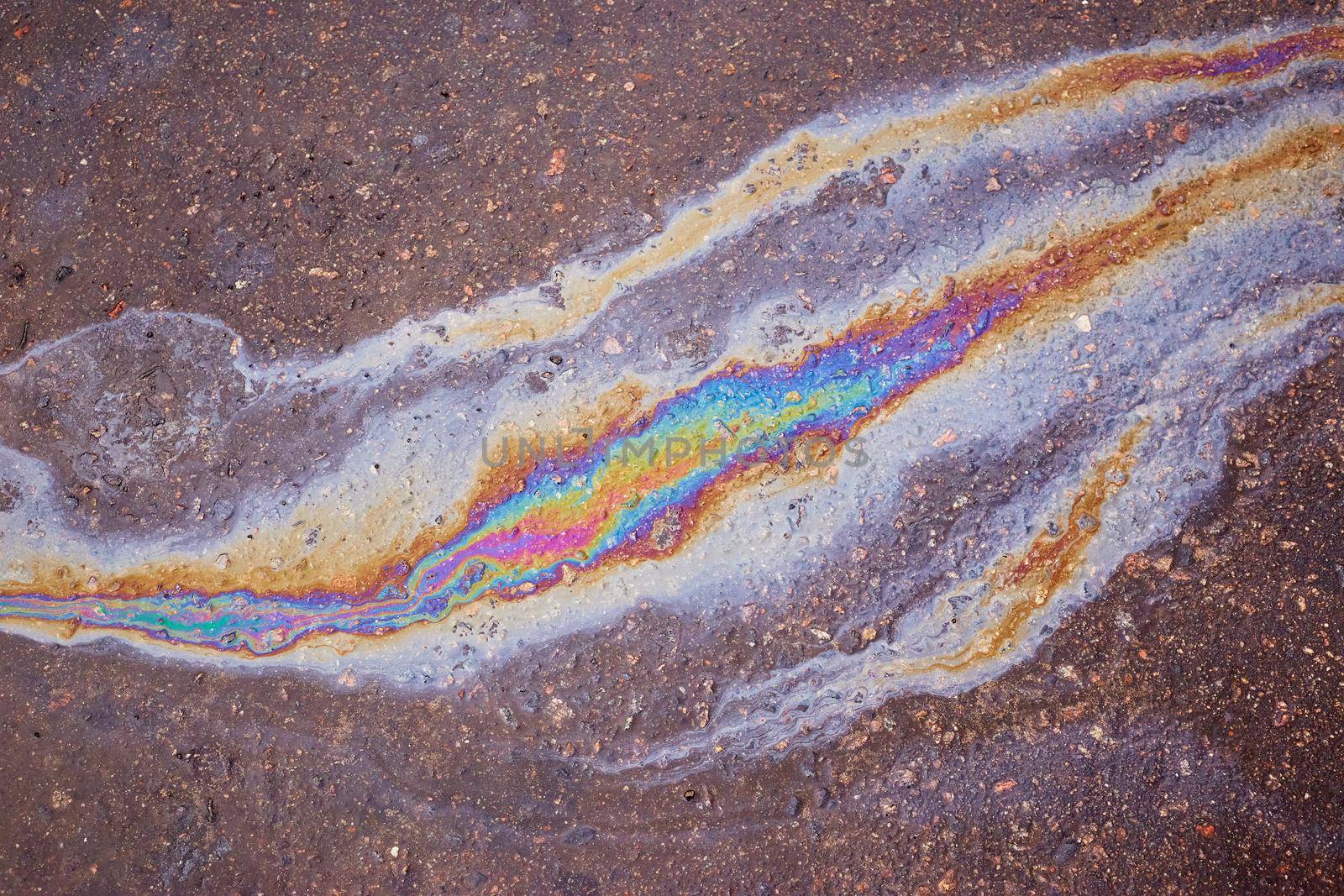 Oil slick looks like a bird on the asphalt road background. Oil stain on Asphalt, color Gasoline fuel spots on Asphalt Road as Texture or Background