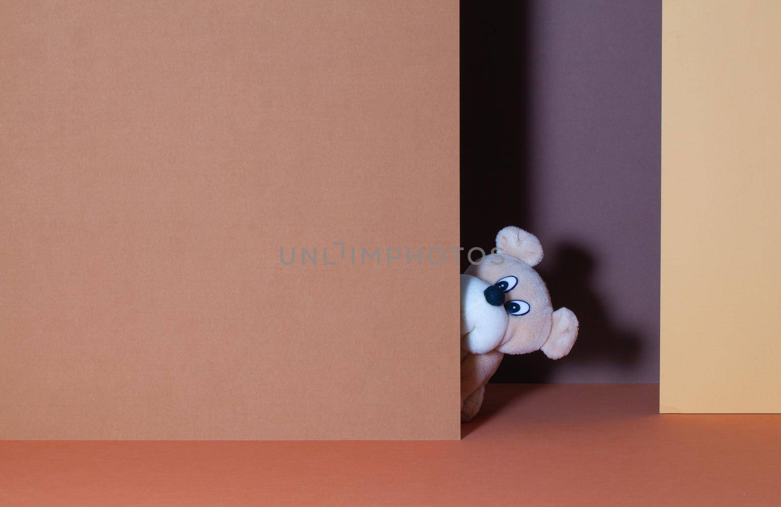 The cheerful plush dog among paper cartons by CaptureLight