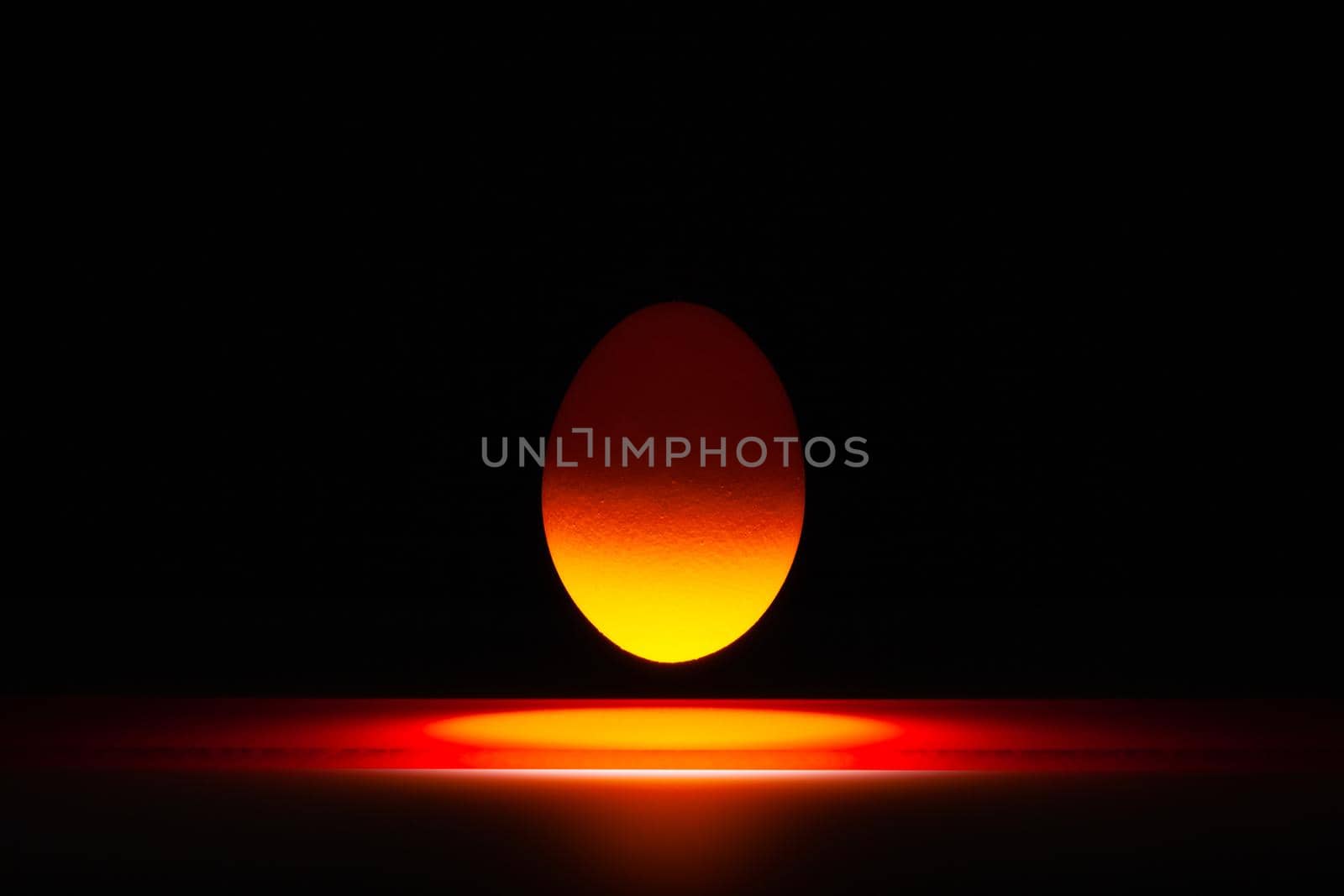 Orange egg levitating over a black glass table  by CaptureLight