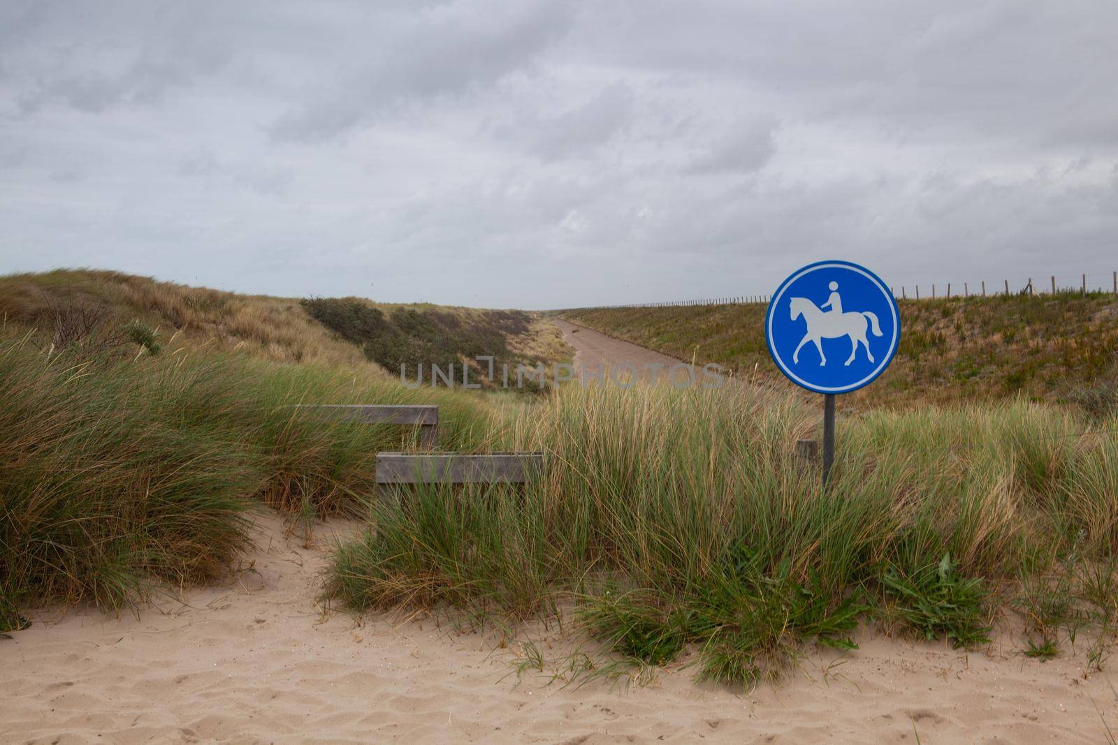 Blue road sign for riders on the beach in De Putten in Netherlands. The road without tourists after the coronavirus pandemic.