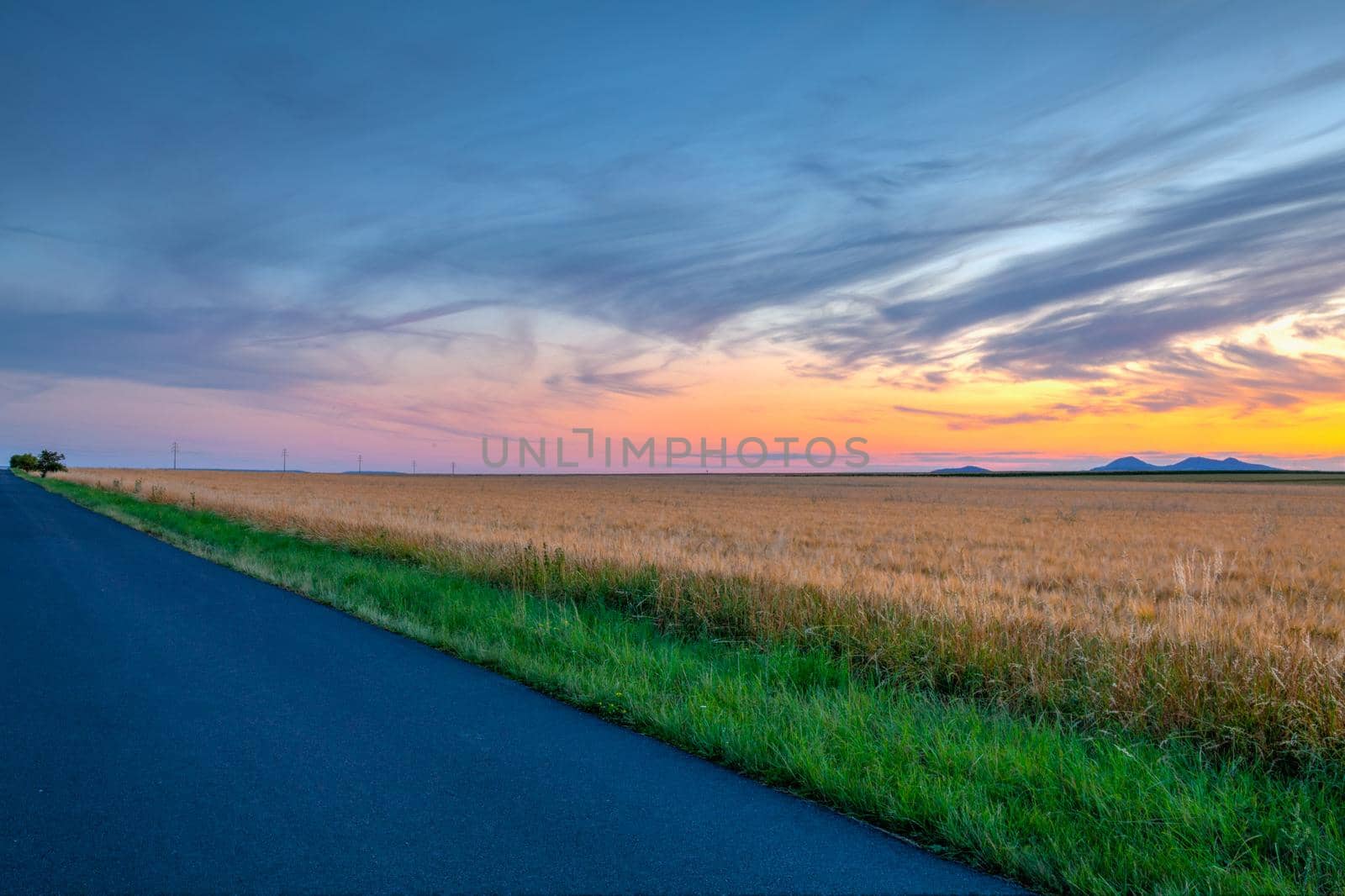 Barley field and amazing sunset in Czech Bohemian Upland, Czech Republic.  Uplands are a nature reserve.