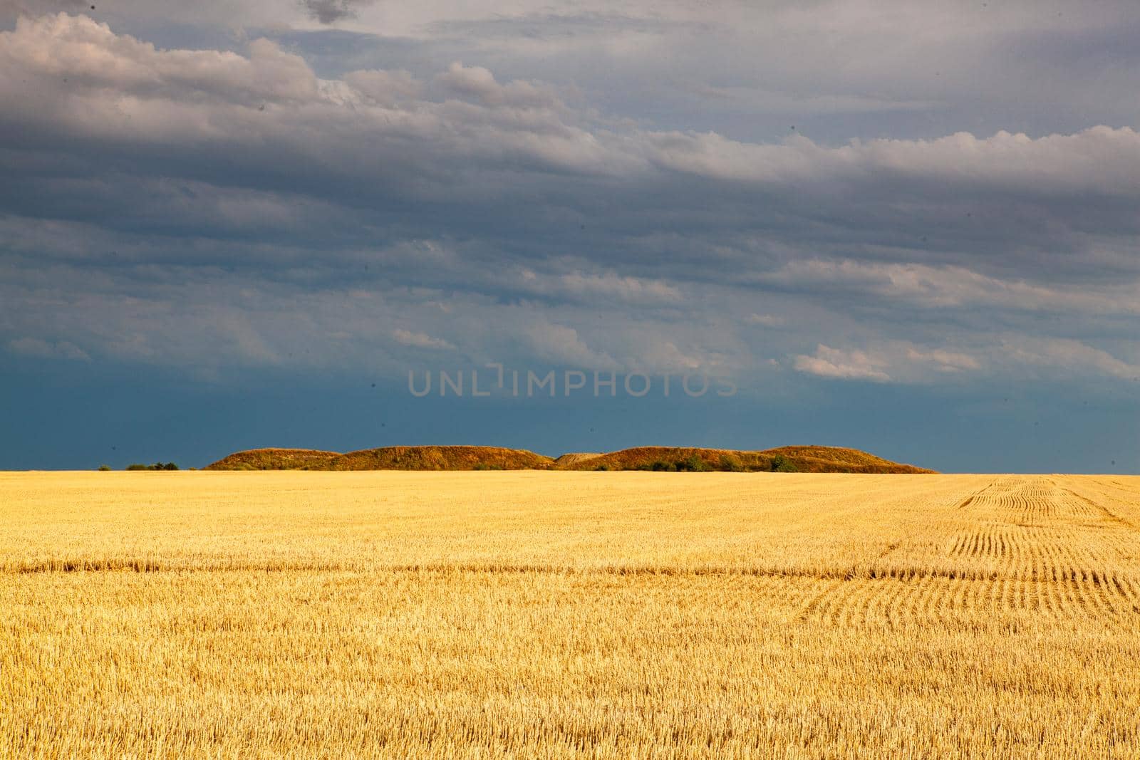 On the empty field after harvesting in sunny day before storm by CaptureLight