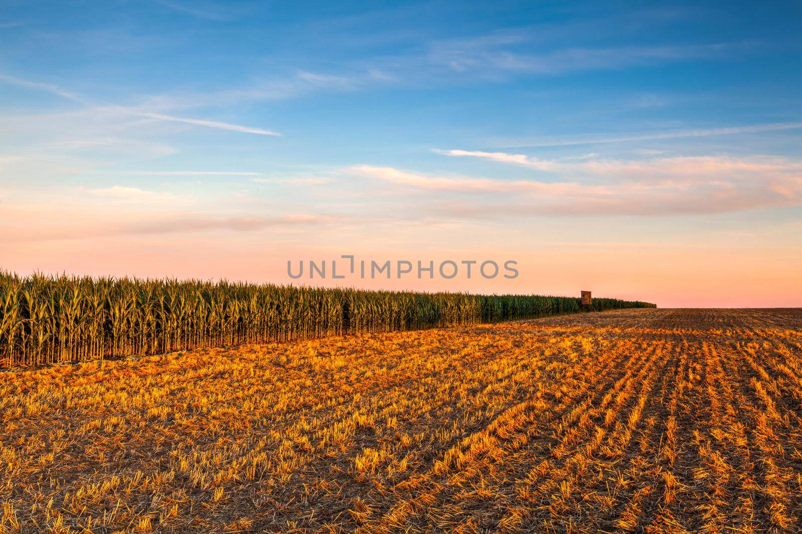 Lookout tower between corn field and empty field after harvesting.  by CaptureLight